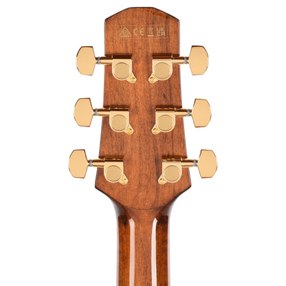 Ibanez AAD381CENT Grand Dreadnought Cutaway Acoustic-Electric Guitar Natural High Gloss Acoustic Guitars