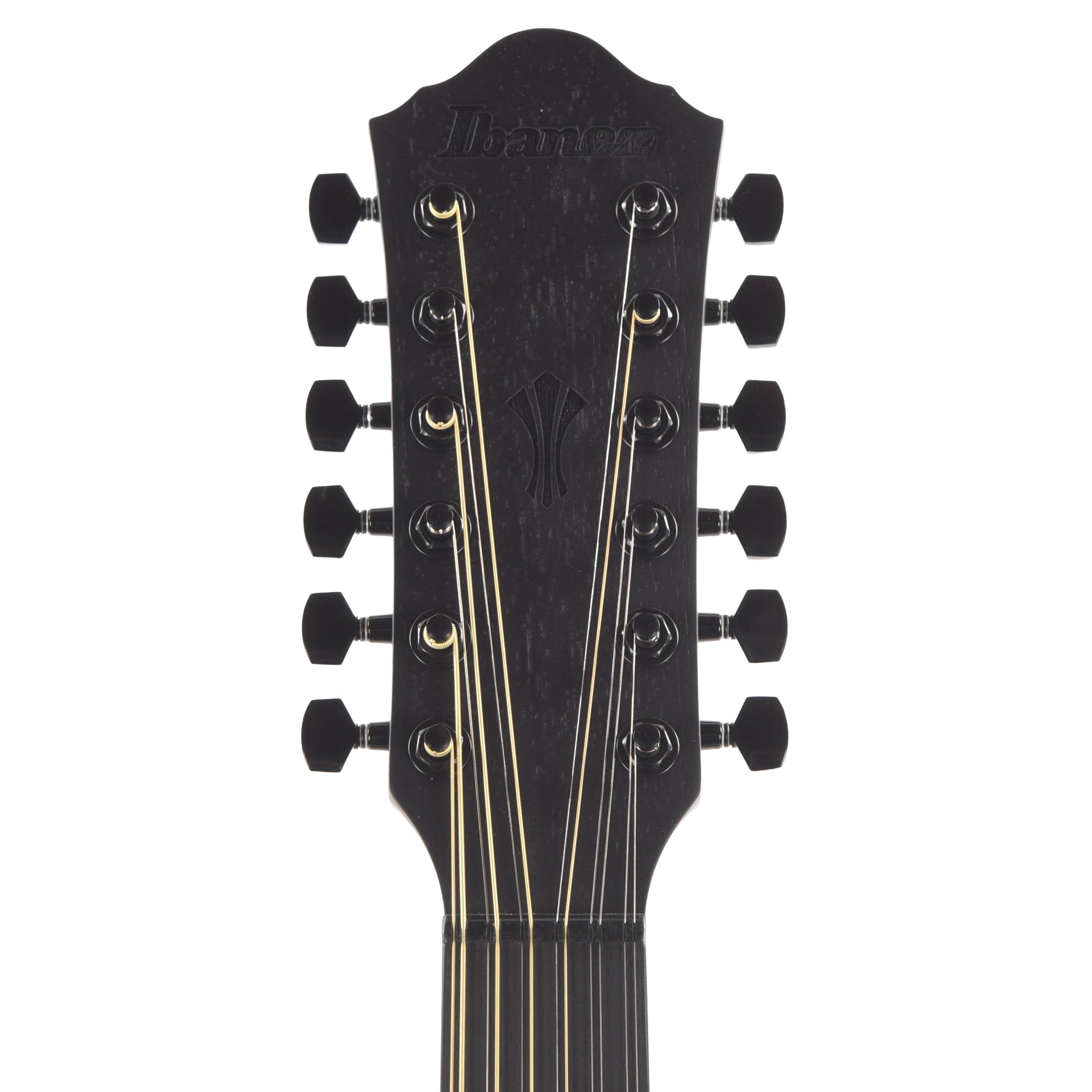 Ibanez AEG1221BOT AEG 12-String Acoustic-Electric Guitar Black Out Acoustic Guitars