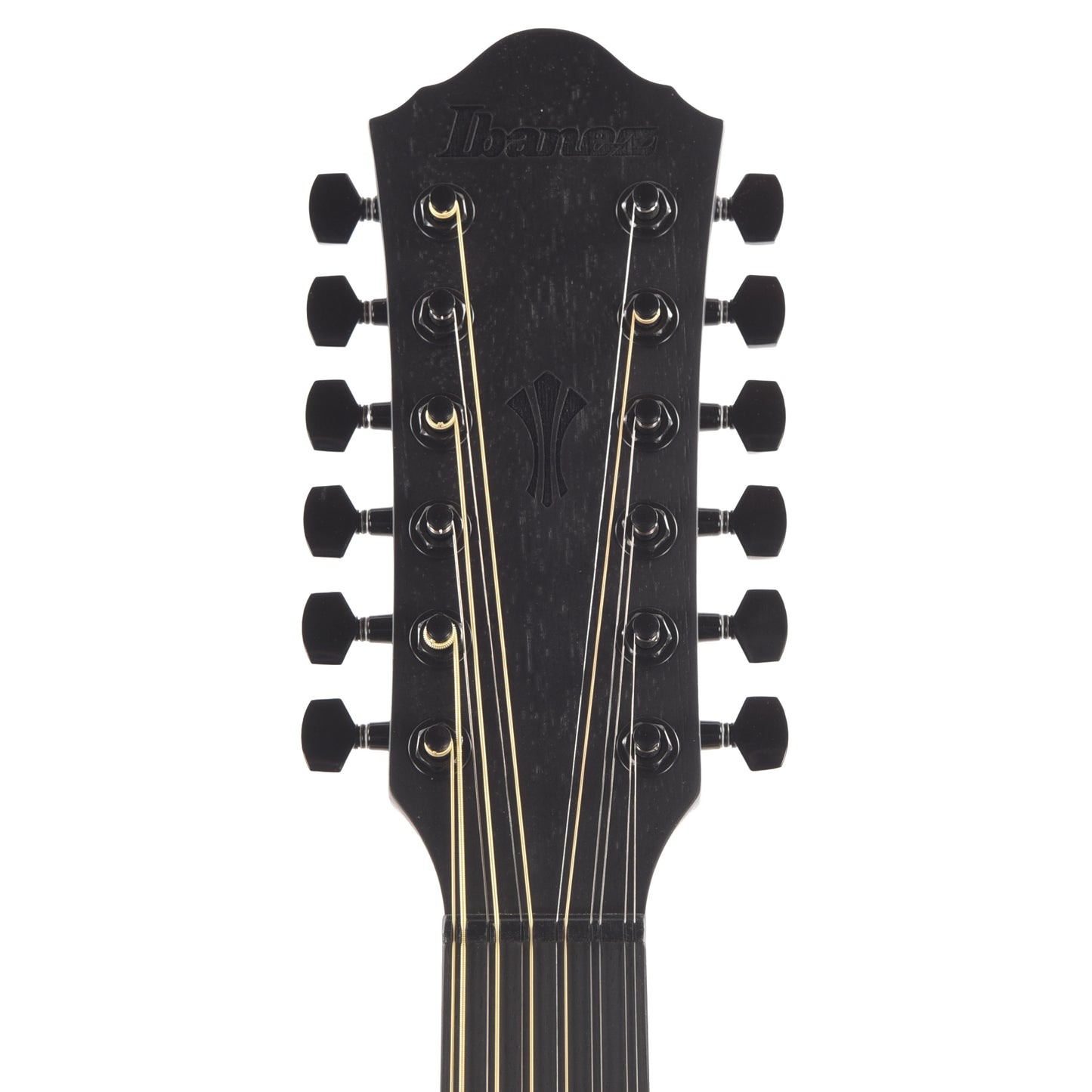 Ibanez AEG1221BOT AEG 12-String Acoustic-Electric Guitar Black Out Acoustic Guitars