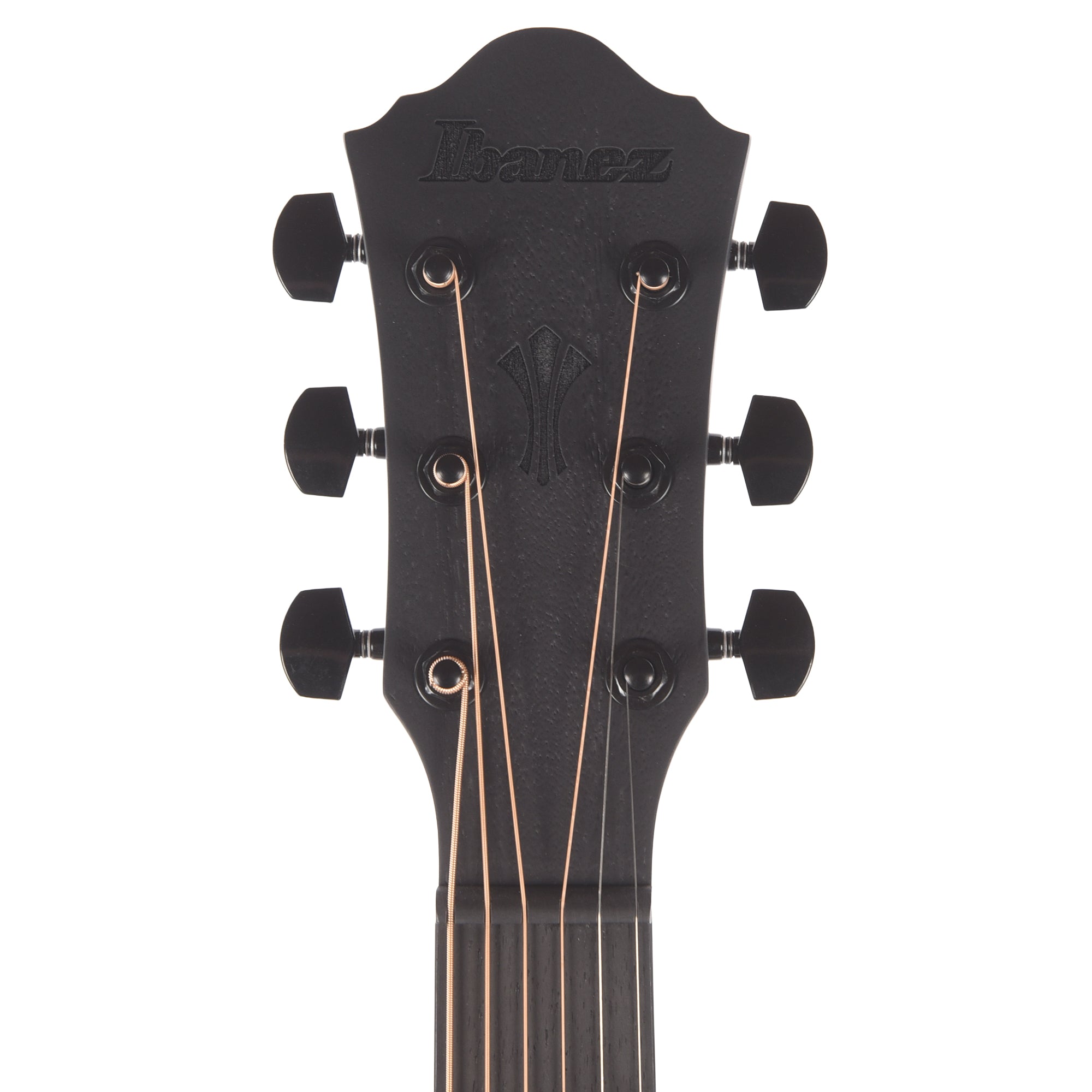 Ibanez AEG621BOT AEG Acoustic-Electric Guitar Black Out Acoustic Guitars