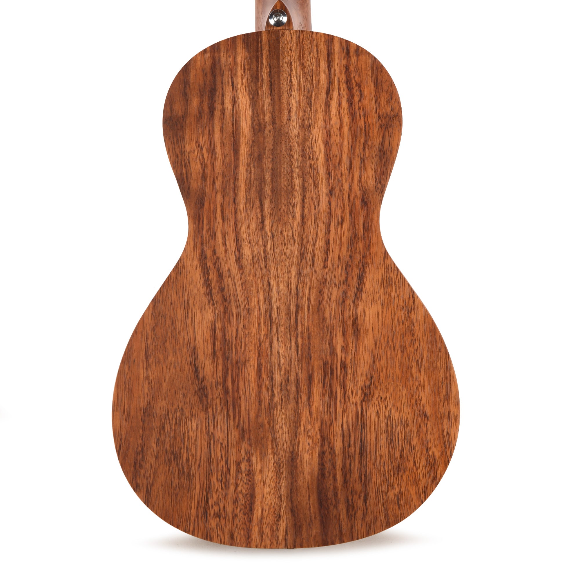 Ibanez PN2WSOPB Parlor 2 Acoustic Guitar Open Pore Brown Acoustic Guitars