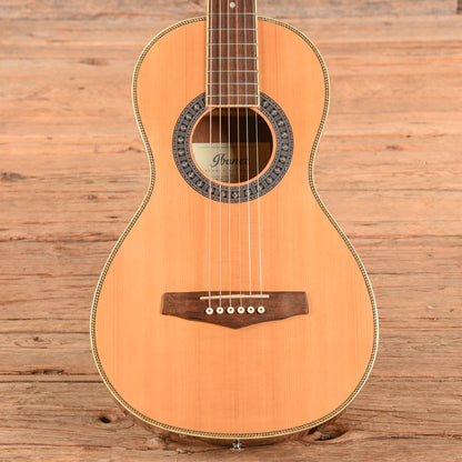 Ibanez PN1-NT Natural Acoustic Guitars / Parlor