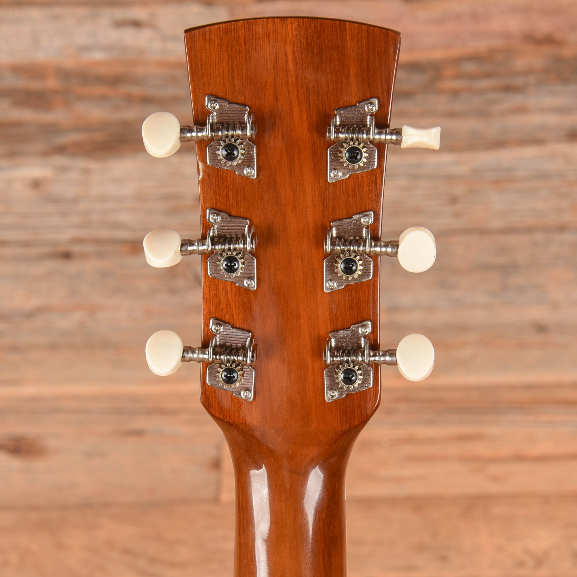 Ibanez PN1-NT Natural Acoustic Guitars / Parlor