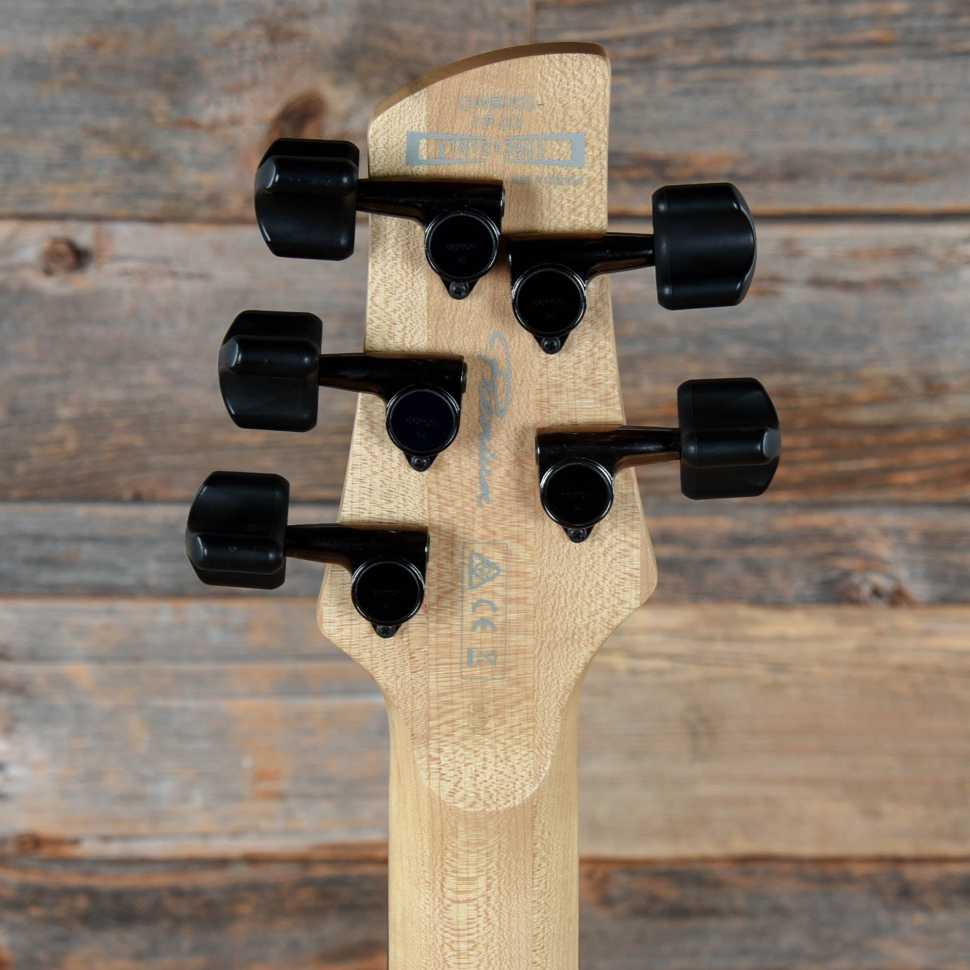 Ibanez GWB205 Gary Willis Signature Natural 2018 Bass Guitars / 5-String or More