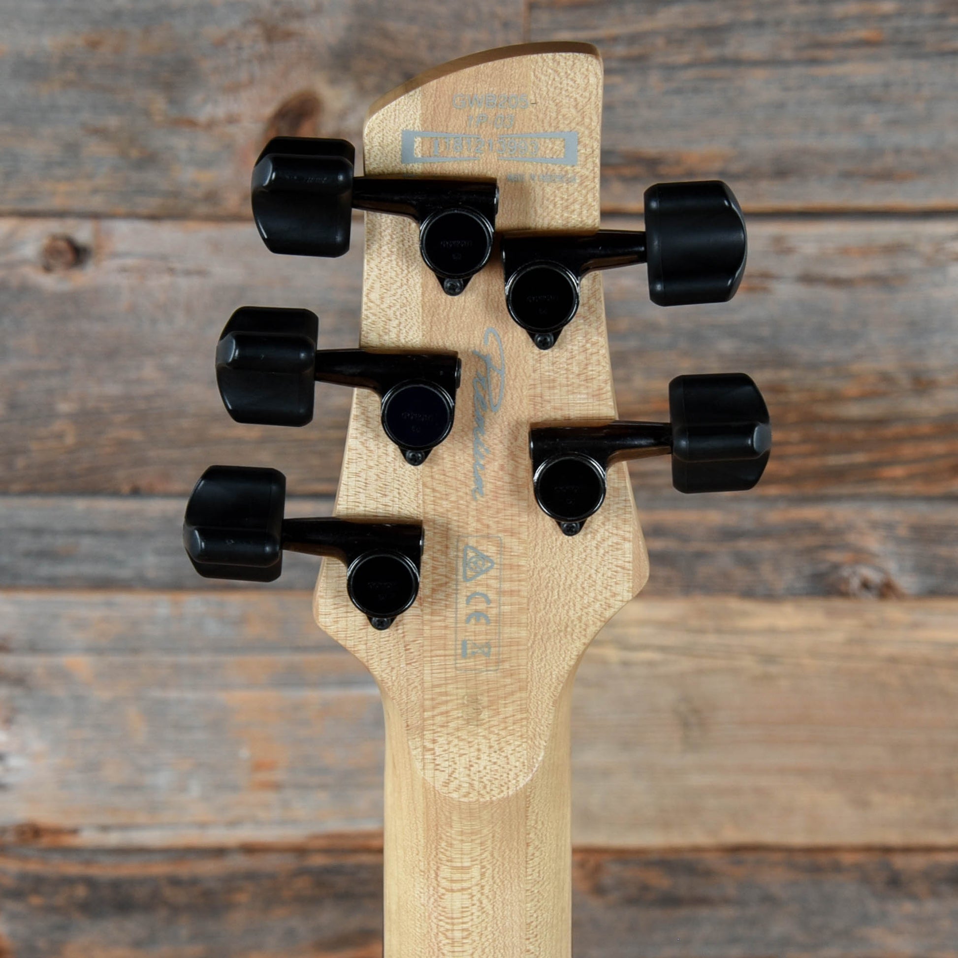 Ibanez GWB205 Gary Willis Signature Natural 2018 Bass Guitars / 5-String or More