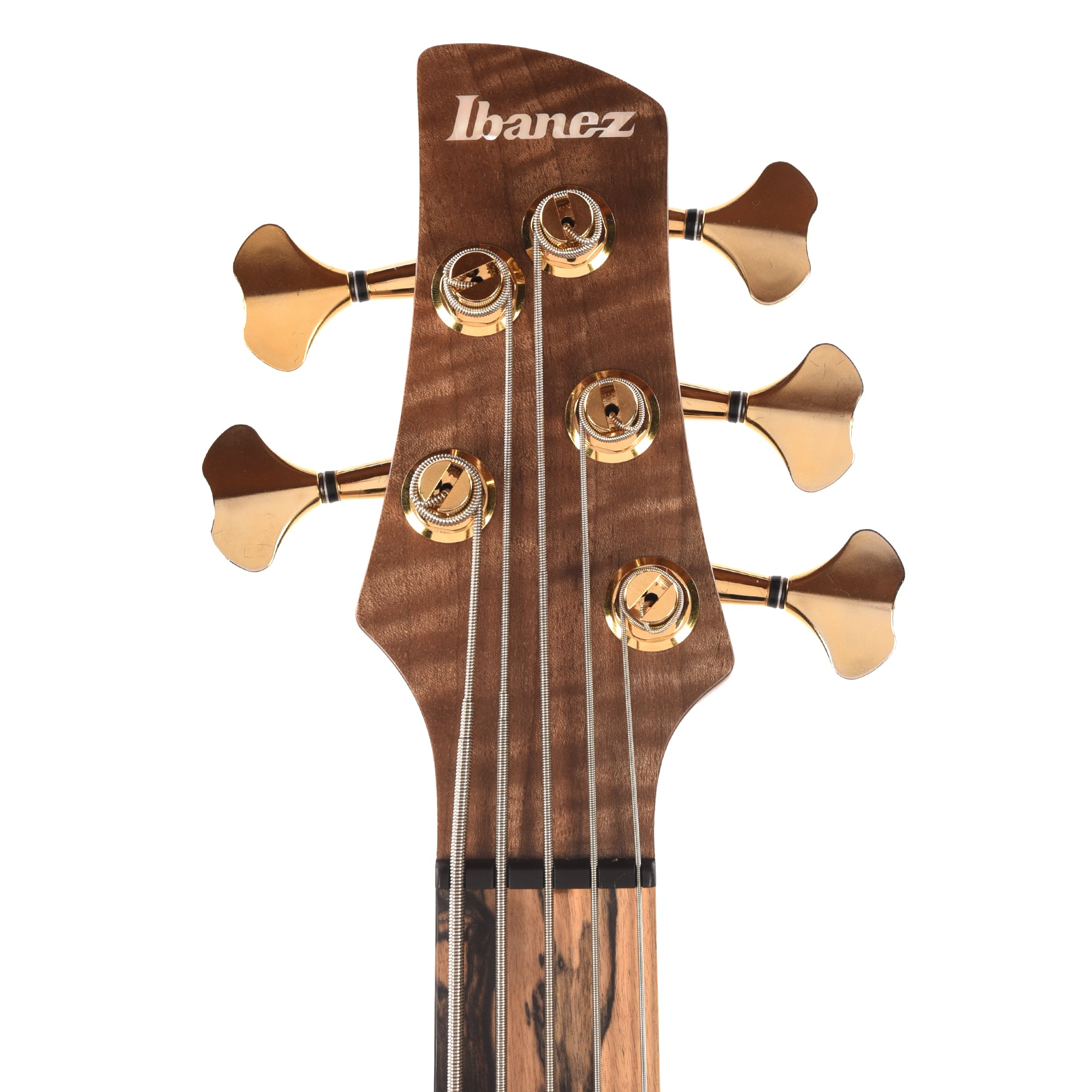 Ibanez IV1SR SR Visions 5-String Electric Bass Bass Guitars / 5-String or More