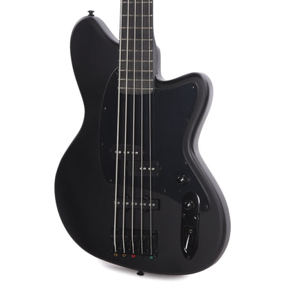 Ibanez TMB425BBKF Talman Bass Standard 5-String Electric Bass Black Flat Bass Guitars / 5-String or More