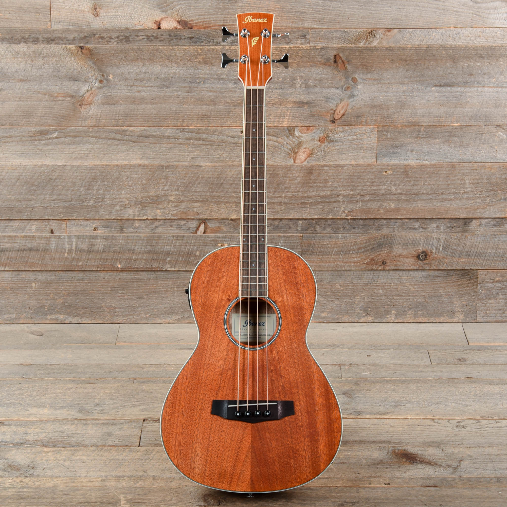 Ibanez PNB14E Parlor Acoustic Bass Open Pore Natural Bass Guitars / Acoustic Bass Guitars