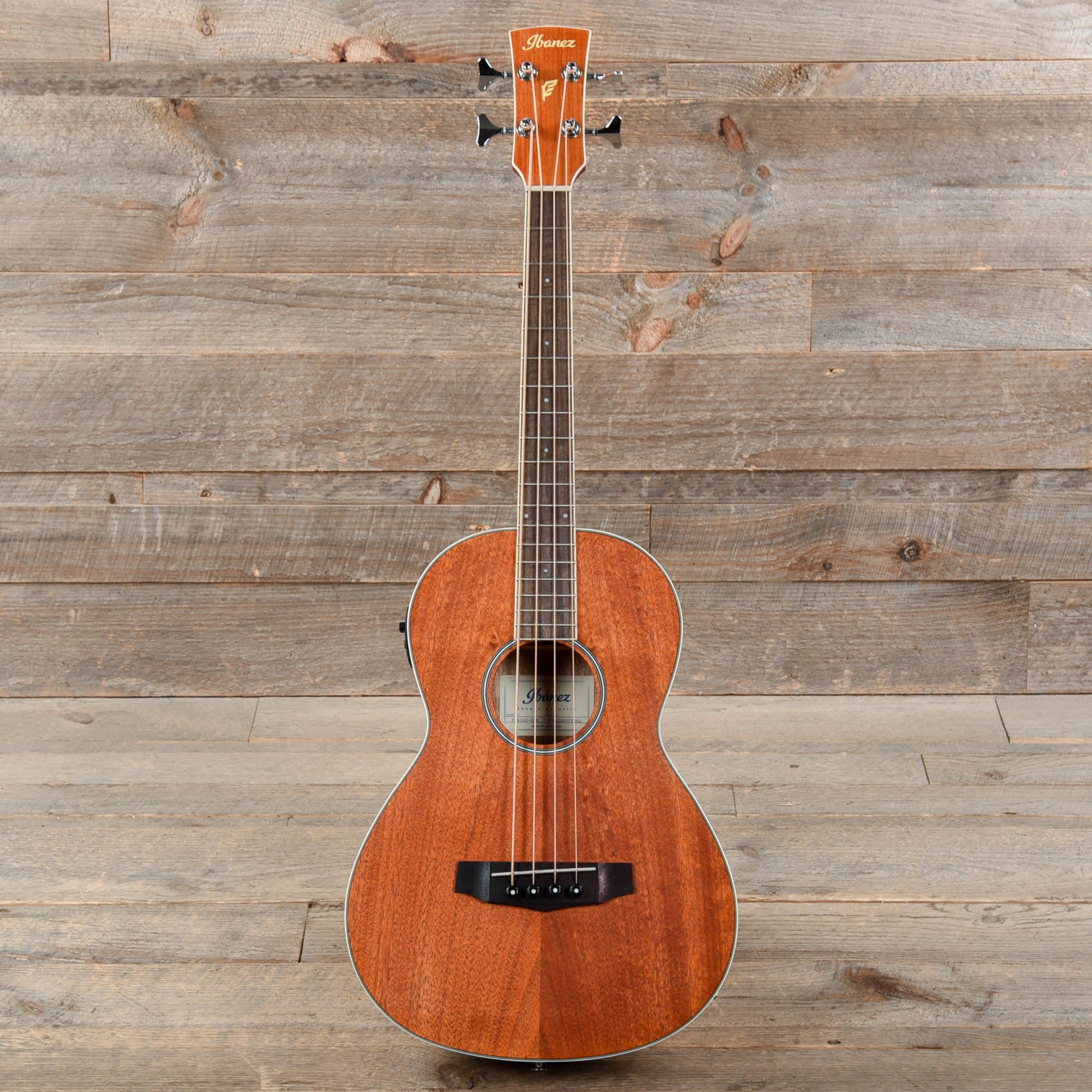 Ibanez PNB14E Parlor Acoustic Bass Open Pore Natural Bass Guitars / Acoustic Bass Guitars