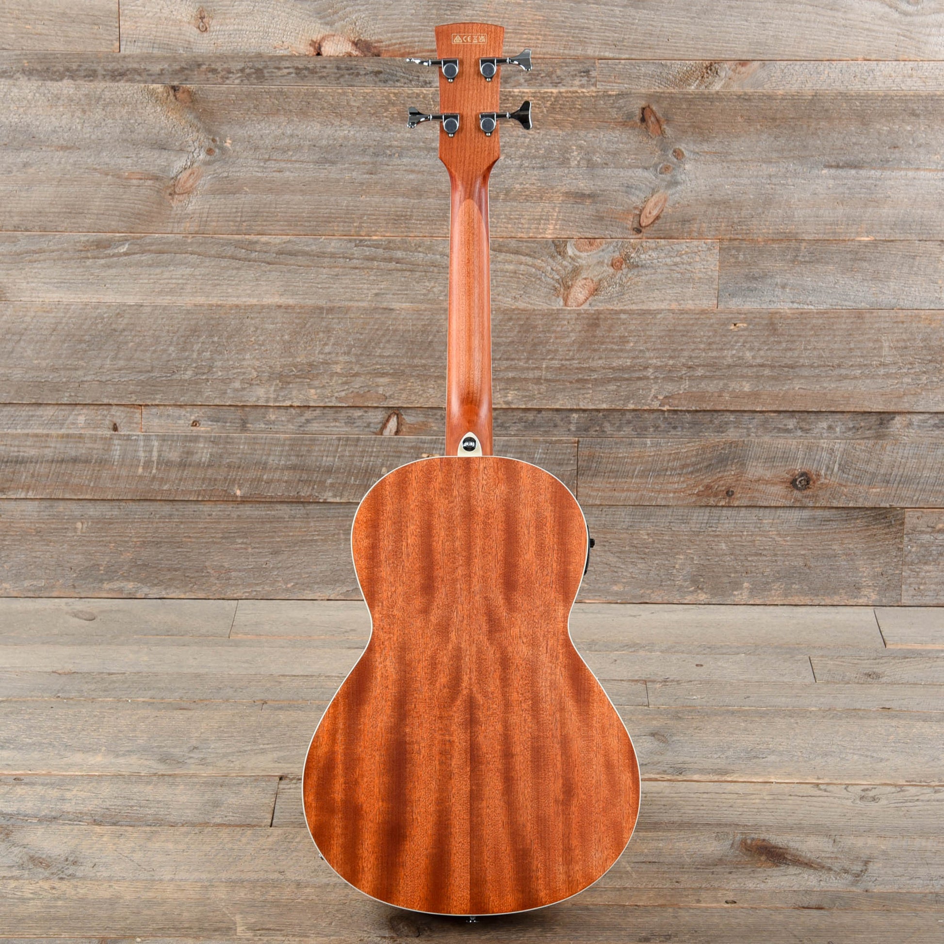 Ibanez PNB14E Parlor Acoustic Bass Open Pore Natural Bass Guitars / Acoustic Bass Guitars