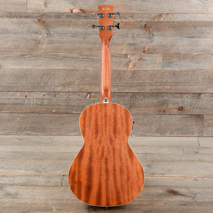 Ibanez PNB14E Parlor Acoustic Bass Open Pore Natural Bass Guitars / Acoustic Bass Guitars