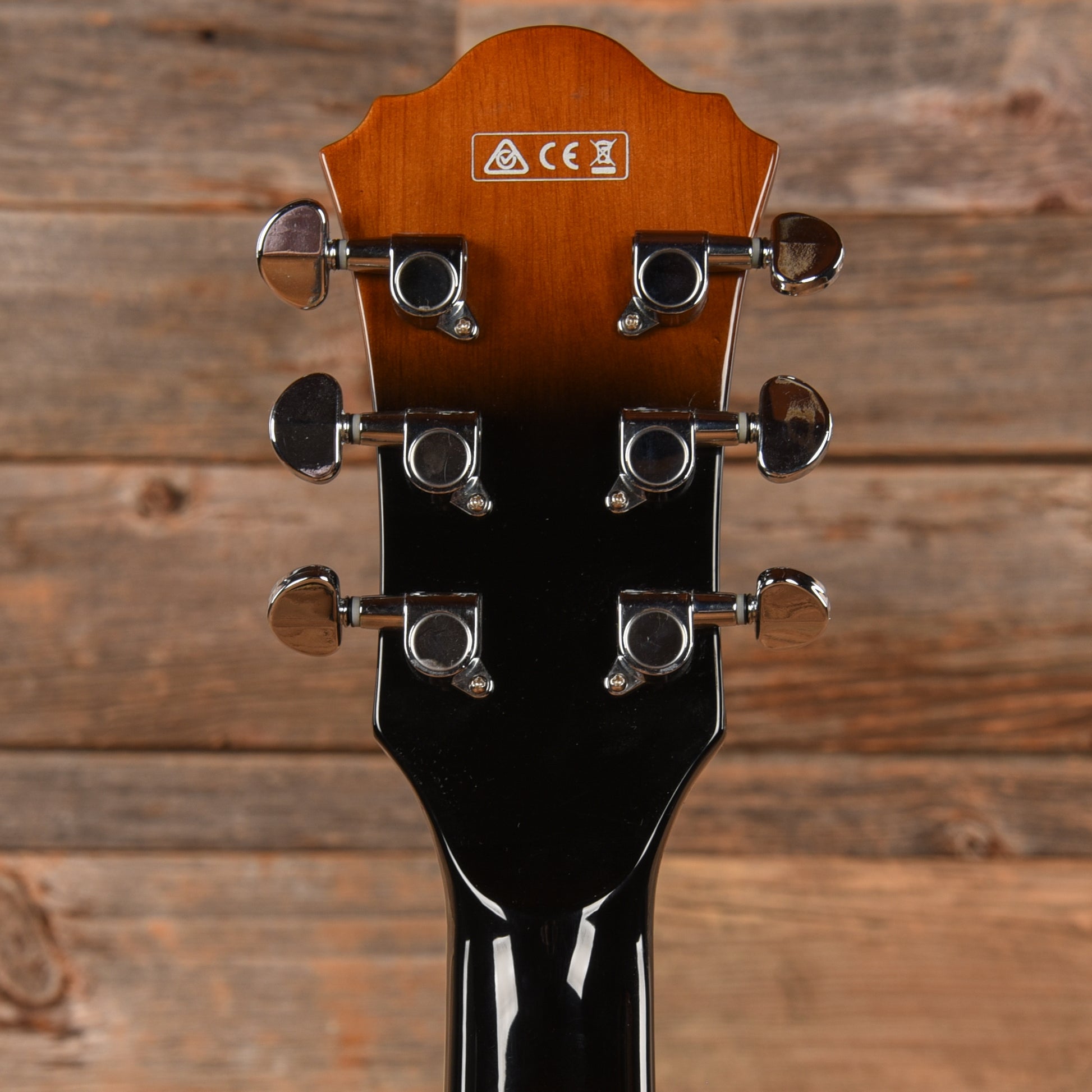 Ibanez AGS73FM Violin Burst 2019 Electric Guitars / Hollow Body