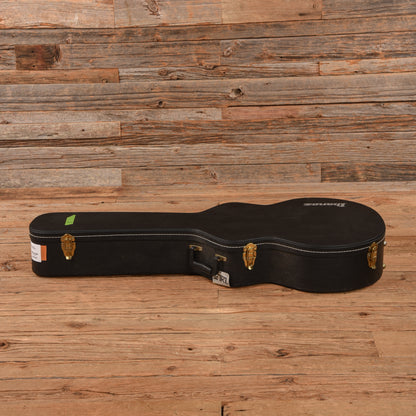 Ibanez AK85-DVS-12-01 Electric Guitars / Hollow Body