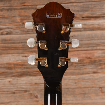 Ibanez AK95 Dark Violin Sunburst 2012 Electric Guitars / Hollow Body