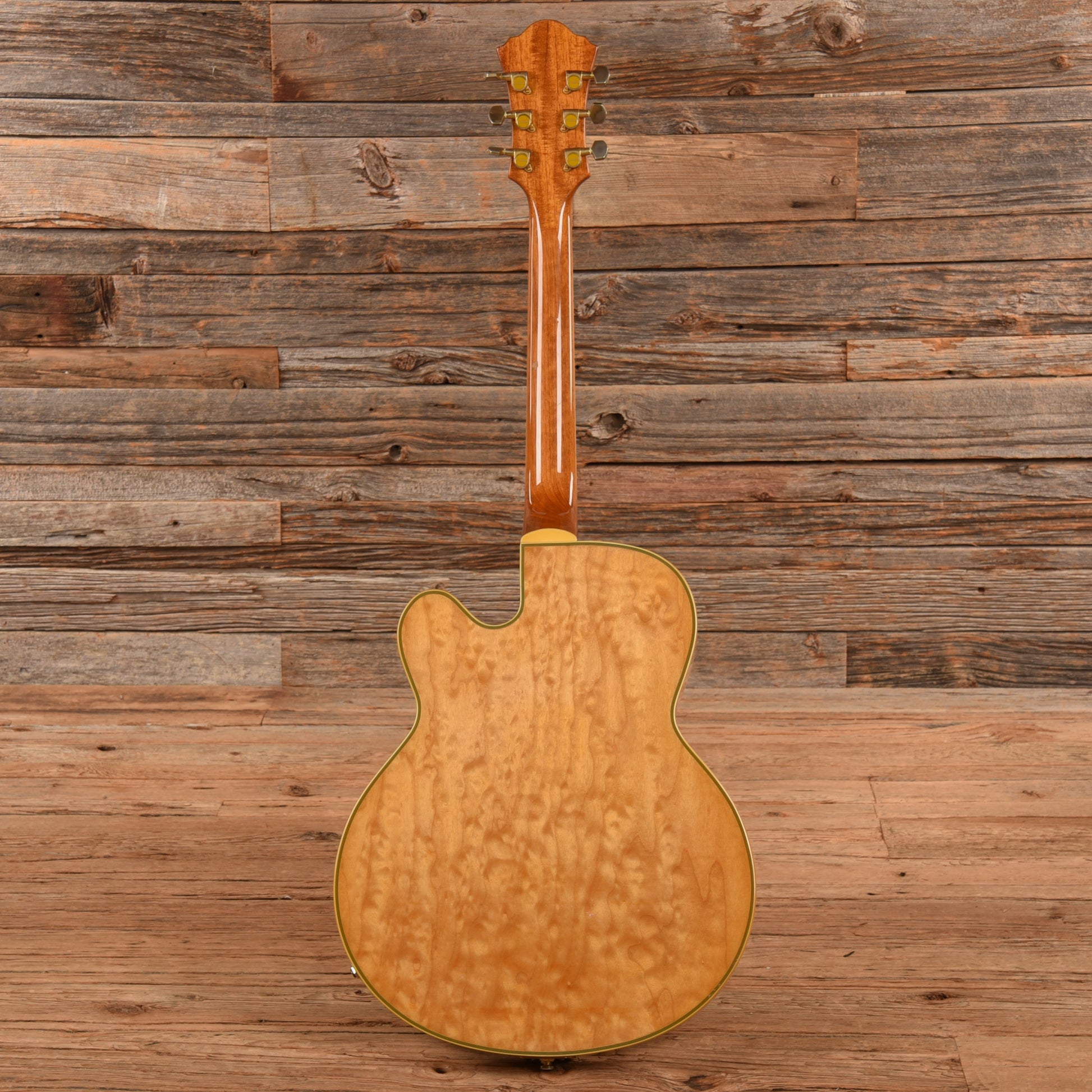 Ibanez PM20 Pat Metheny Natural Electric Guitars / Hollow Body