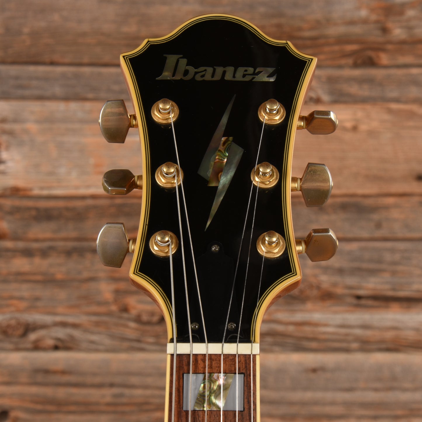 Ibanez PM20 Pat Metheny Natural Electric Guitars / Hollow Body