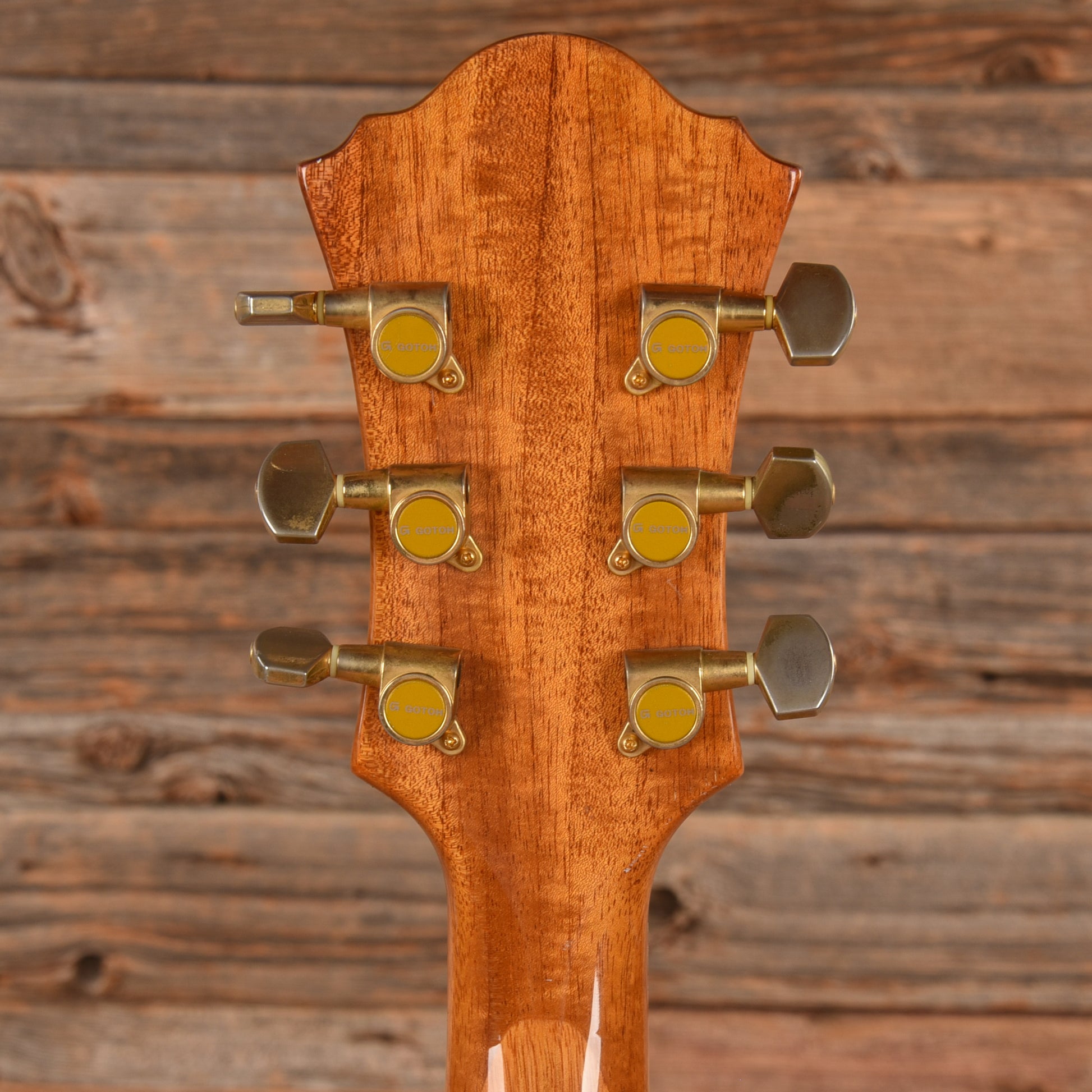 Ibanez PM20 Pat Metheny Natural Electric Guitars / Hollow Body