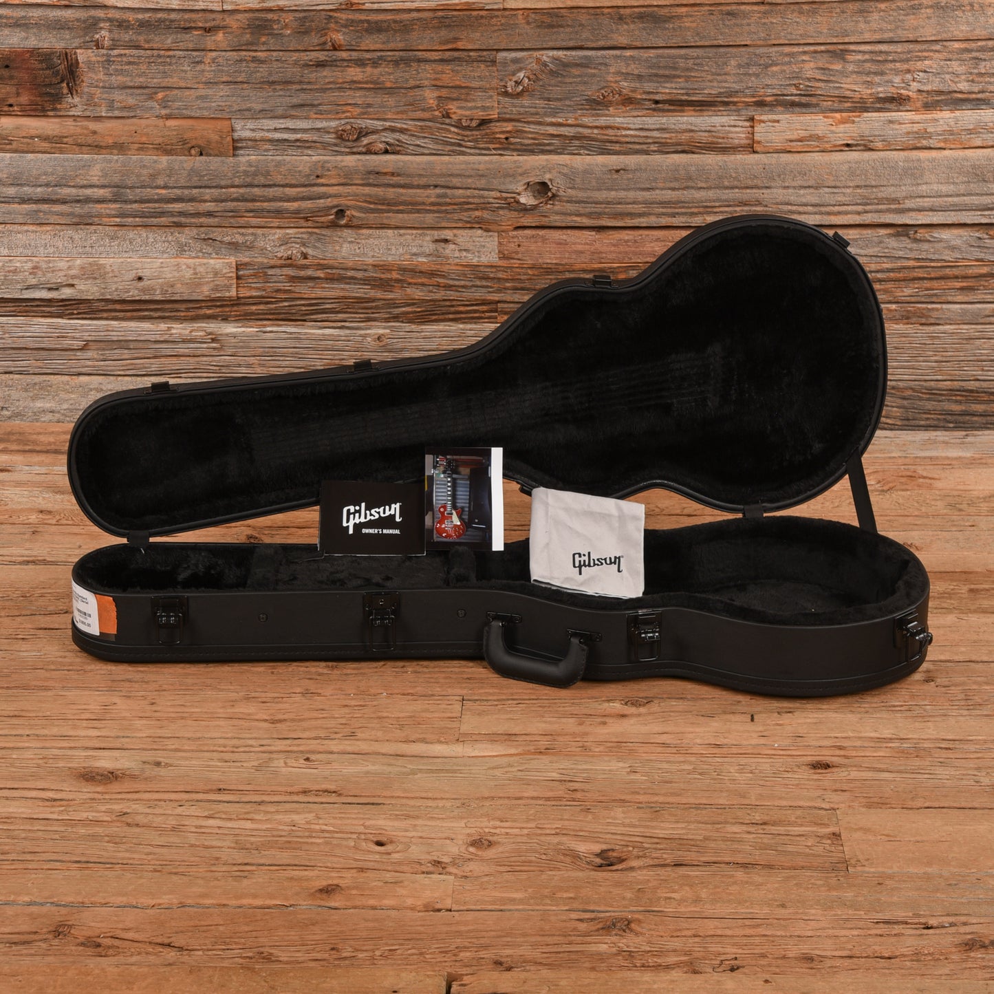 Ibanez PM20 Pat Metheny Natural Electric Guitars / Hollow Body