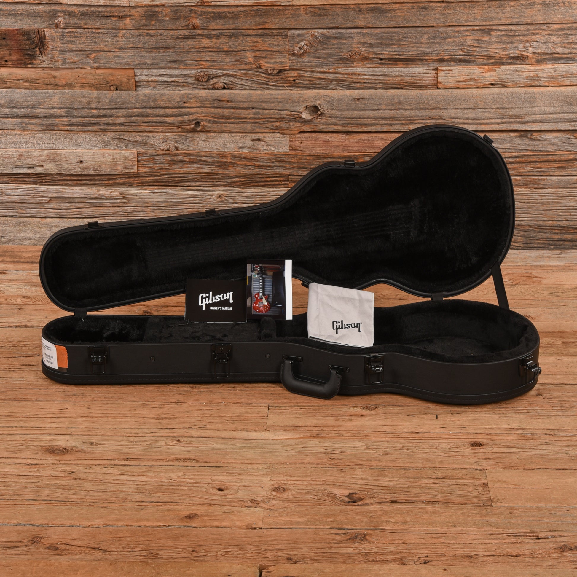 Ibanez PM20 Pat Metheny Natural Electric Guitars / Hollow Body