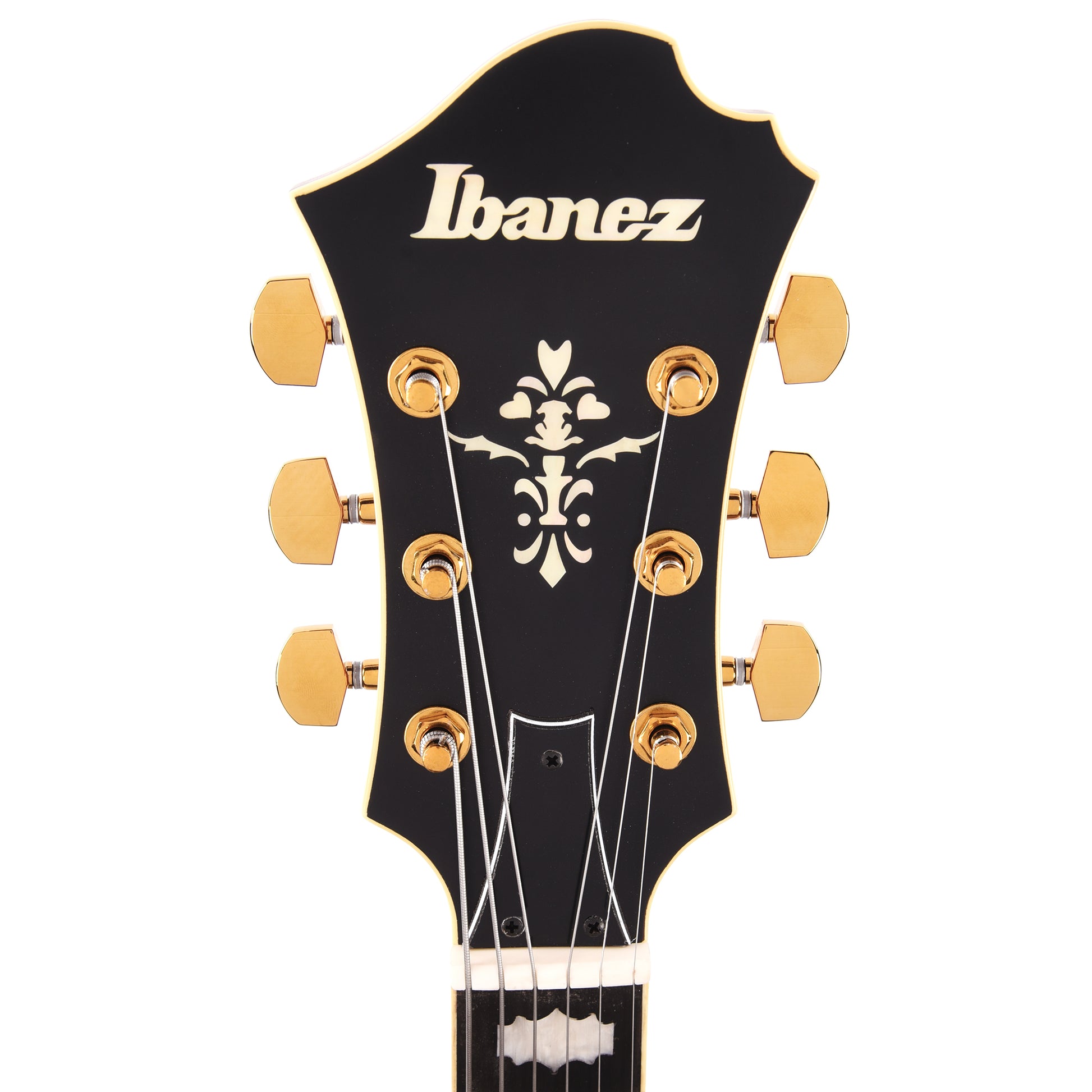 Ibanez PM3CNAL Pat Metheny Signature Electric Guitar Natural Amber Low Gloss Electric Guitars / Hollow Body