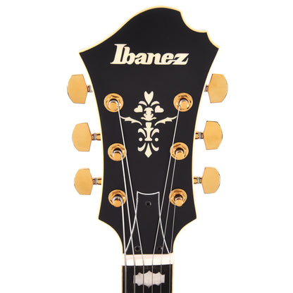 Ibanez PM3CNAL Pat Metheny Signature Electric Guitar Natural Amber Low Gloss Electric Guitars / Hollow Body