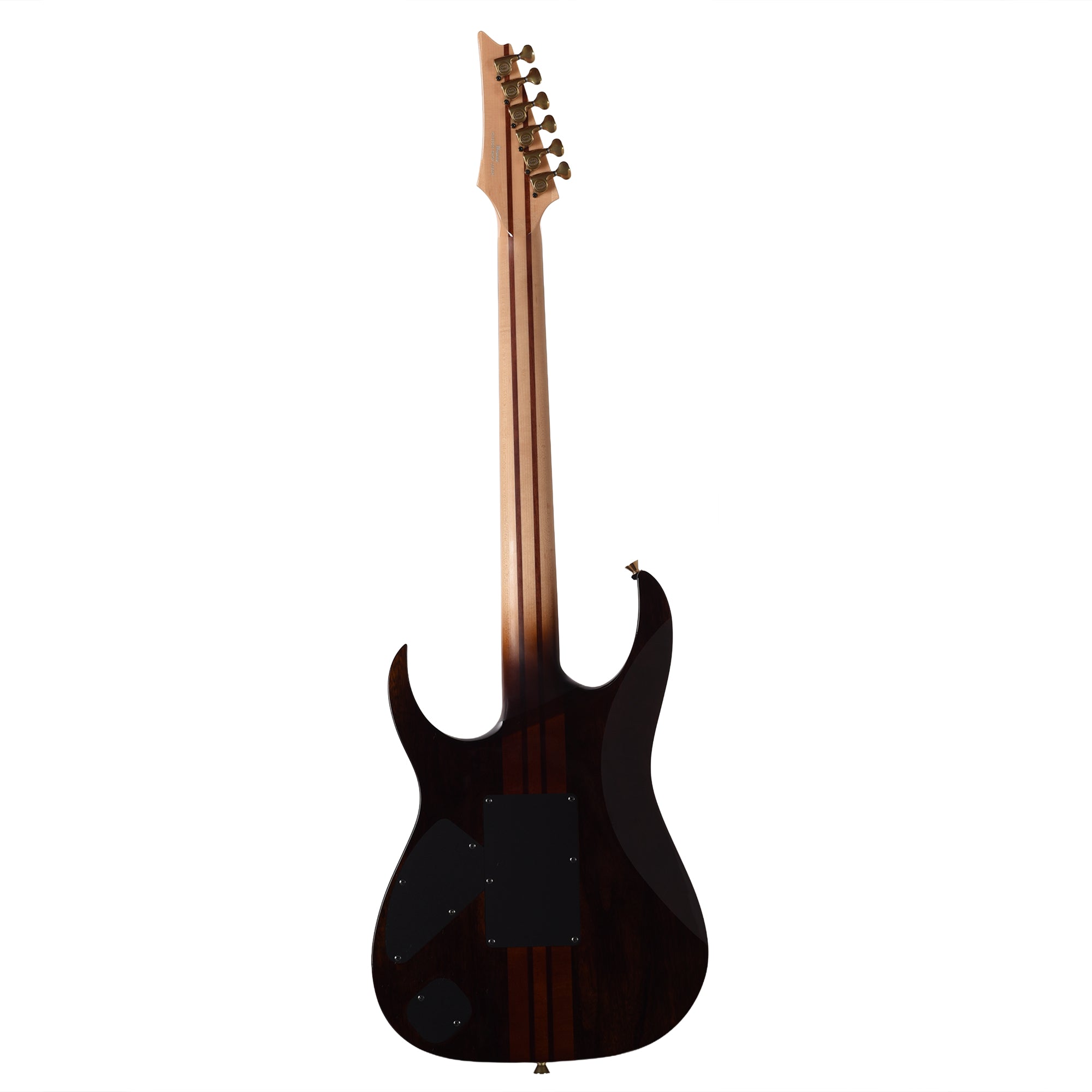 Ibanez IV1RG RG Visions Electric Guitar Electric Guitars