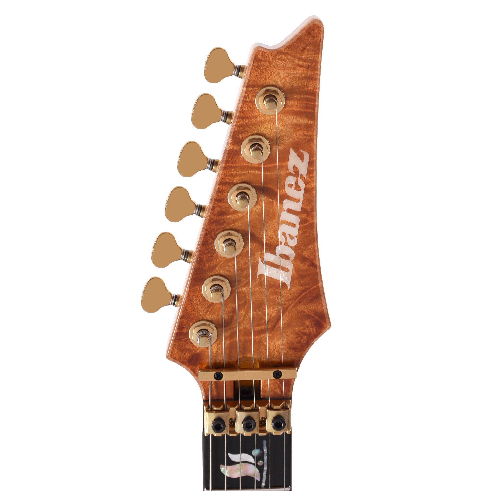 Ibanez IV1RG RG Visions Electric Guitar Electric Guitars