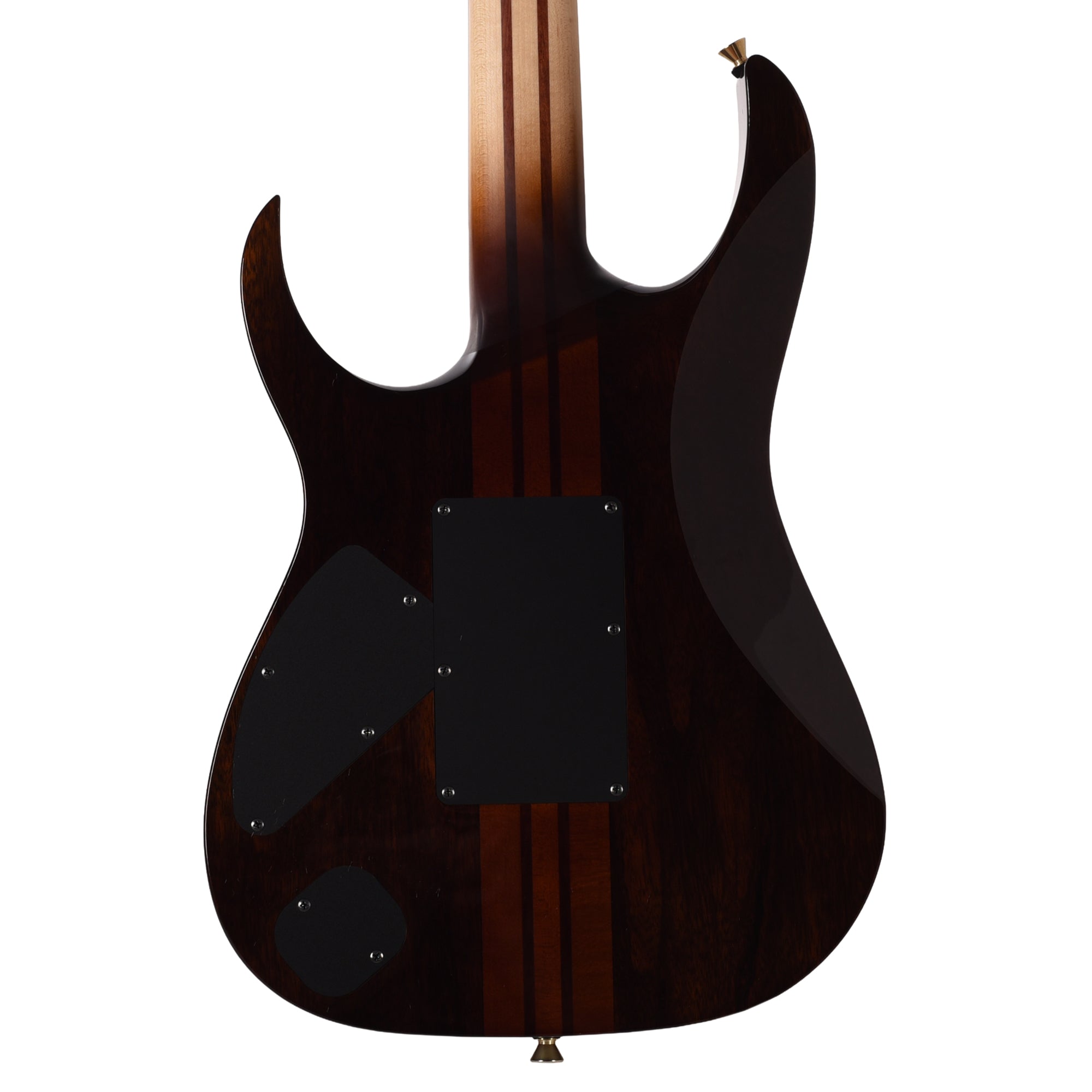 Ibanez IV1RG RG Visions Electric Guitar Electric Guitars