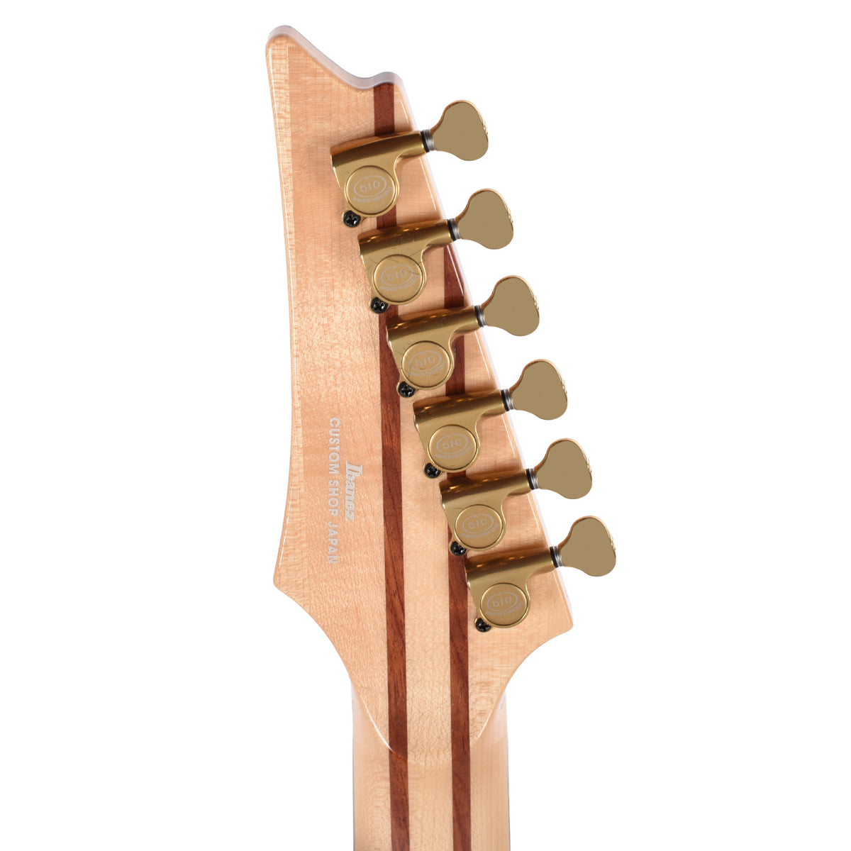 Ibanez IV2RG RG Visions Electric Guitar Electric Guitars