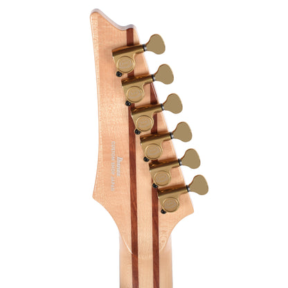 Ibanez IV2RG RG Visions Electric Guitar Electric Guitars