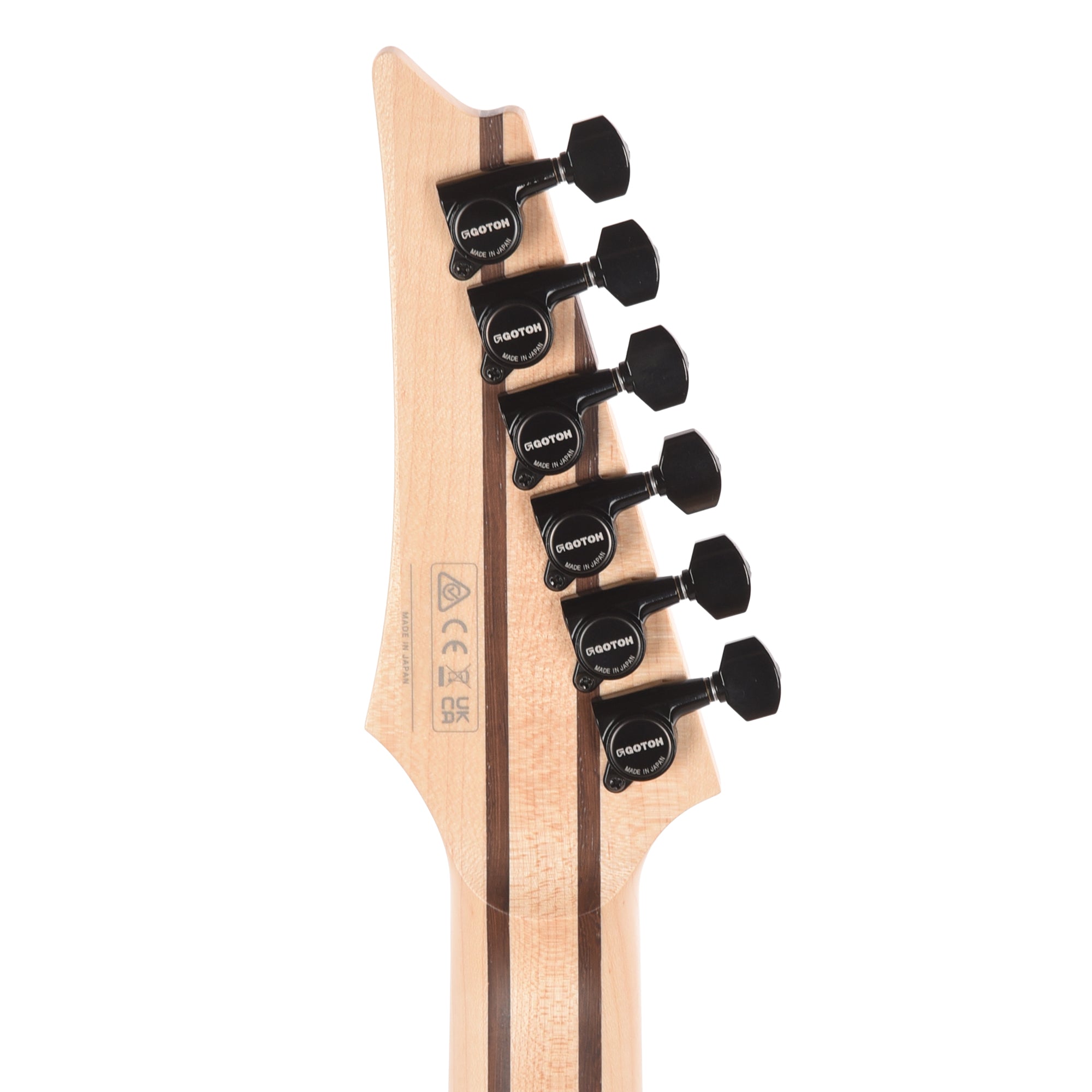 Ibanez RG5121RETPRT RG Prestige Electric Guitar Polar Lights Flat Electric Guitars