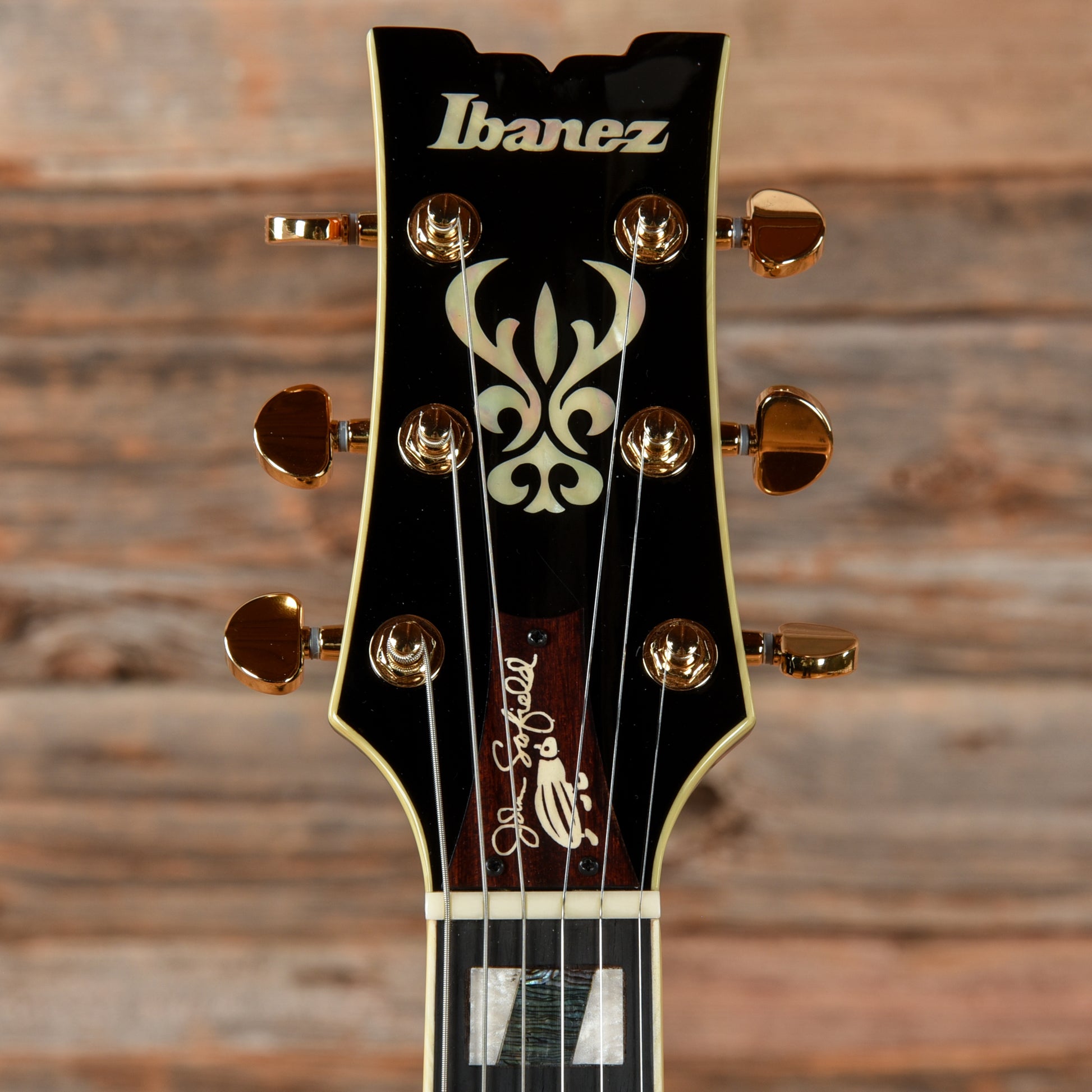 Ibanez JSM10-VYS John Scofield Signature Hollowbody Vintage Yellow Sunburst 2023 Electric Guitars / Semi-Hollow