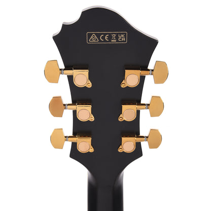 Ibanez PM3CBKL Pat Metheny Signature Electric Guitar Black Low Gloss Electric Guitars / Semi-Hollow
