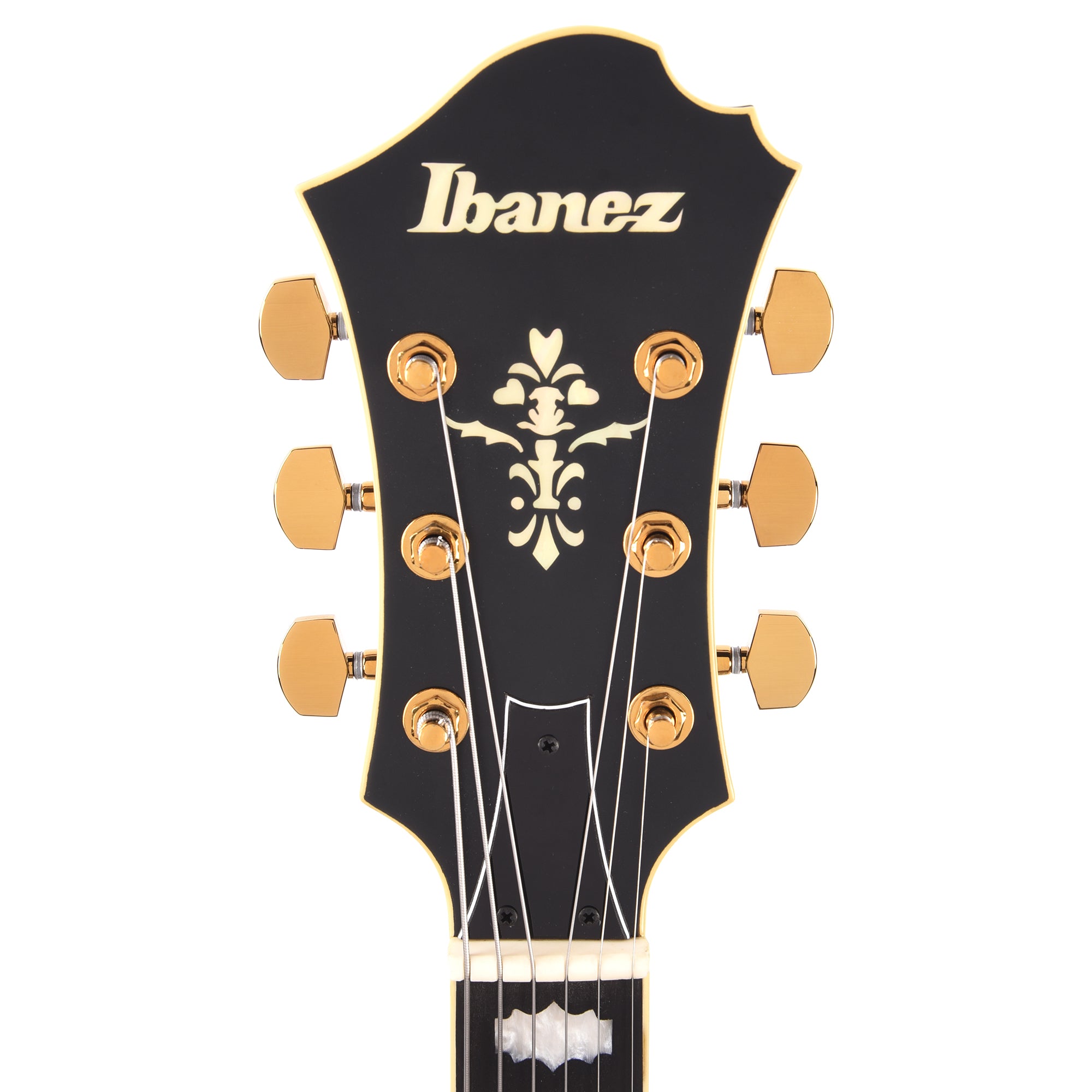 Ibanez PM3CBKL Pat Metheny Signature Electric Guitar Black Low Gloss Electric Guitars / Semi-Hollow