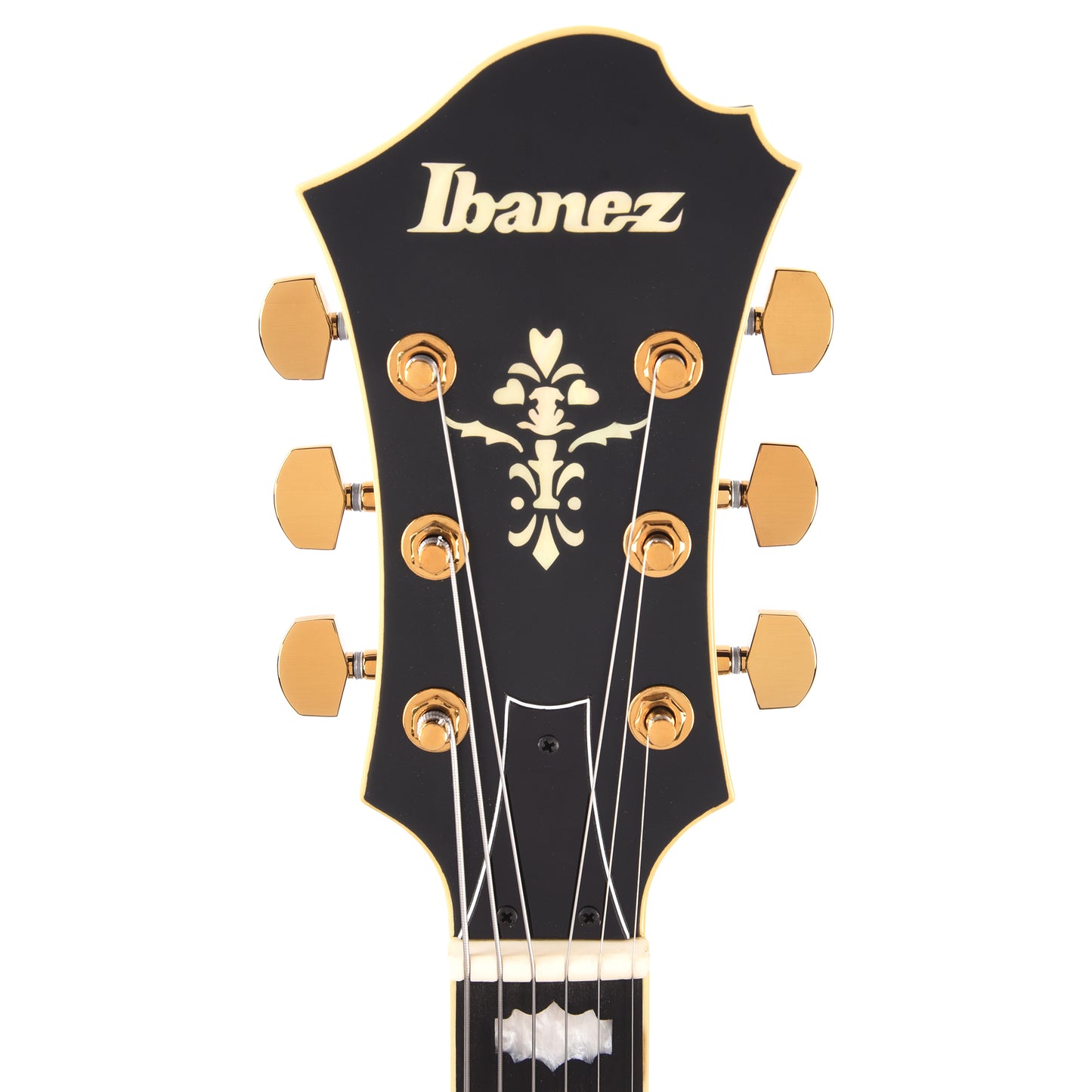 Ibanez PM3CBKL Pat Metheny Signature Electric Guitar Black Low Gloss Electric Guitars / Semi-Hollow