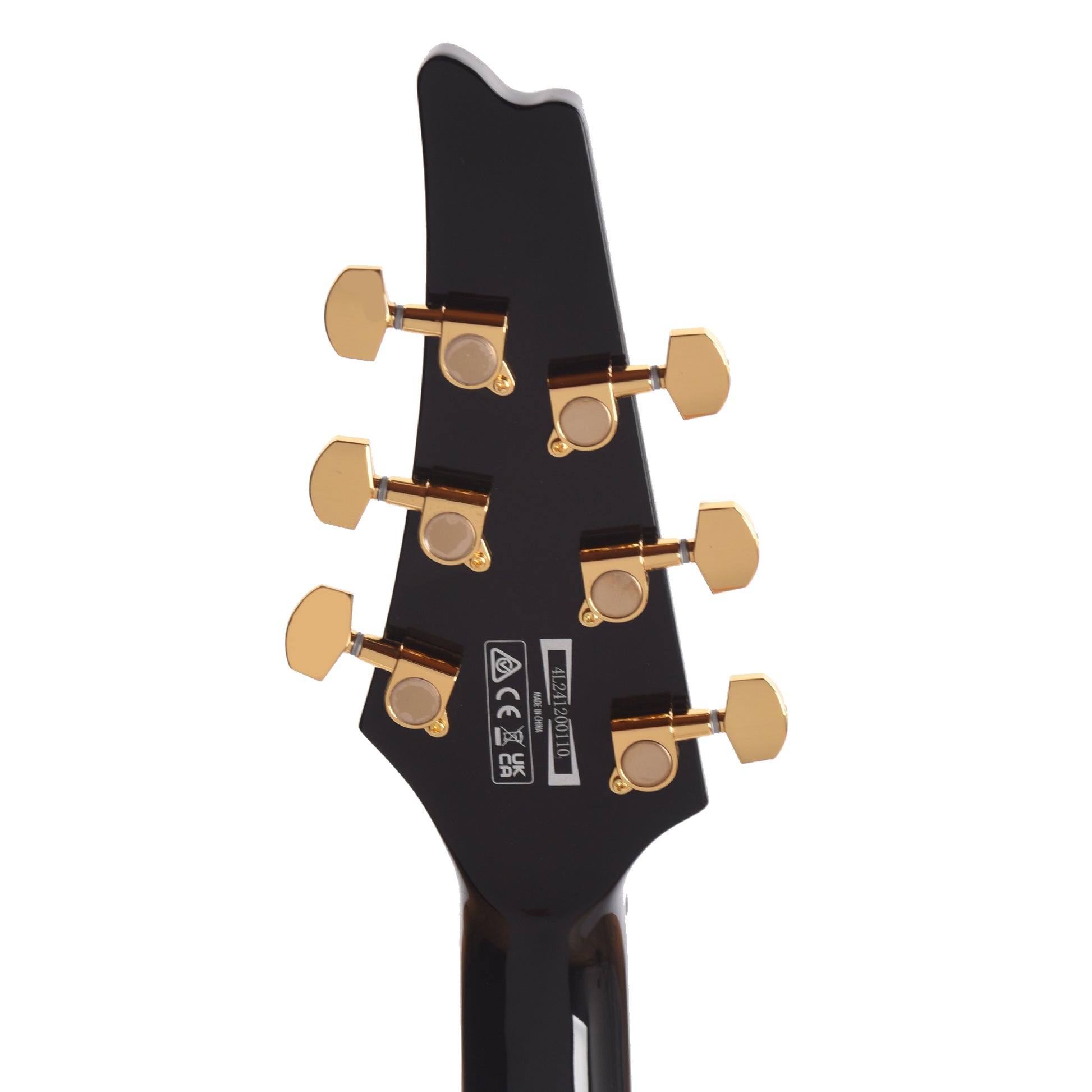 Ibanez FRM350BK Paul Gilbert Signature Electric Guitar Black Electric Guitars / Solid Body