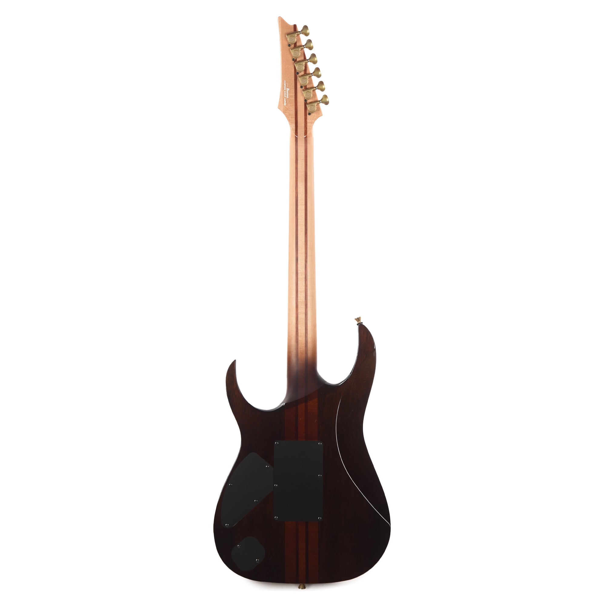 Ibanez IV1RG RG Visions Electric Guitar Electric Guitars / Solid Body