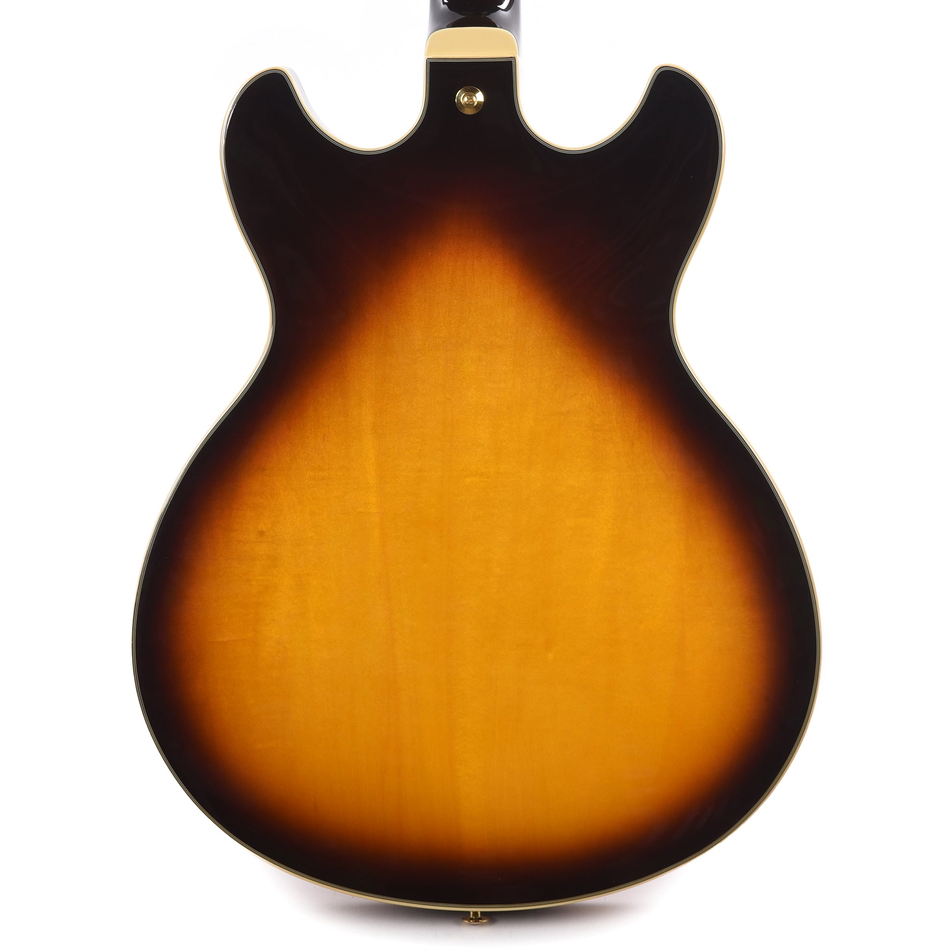 Ibanez JSM10EMTTB John Scofield Signature Electric Guitar Two-tone Burst Electric Guitars / Solid Body