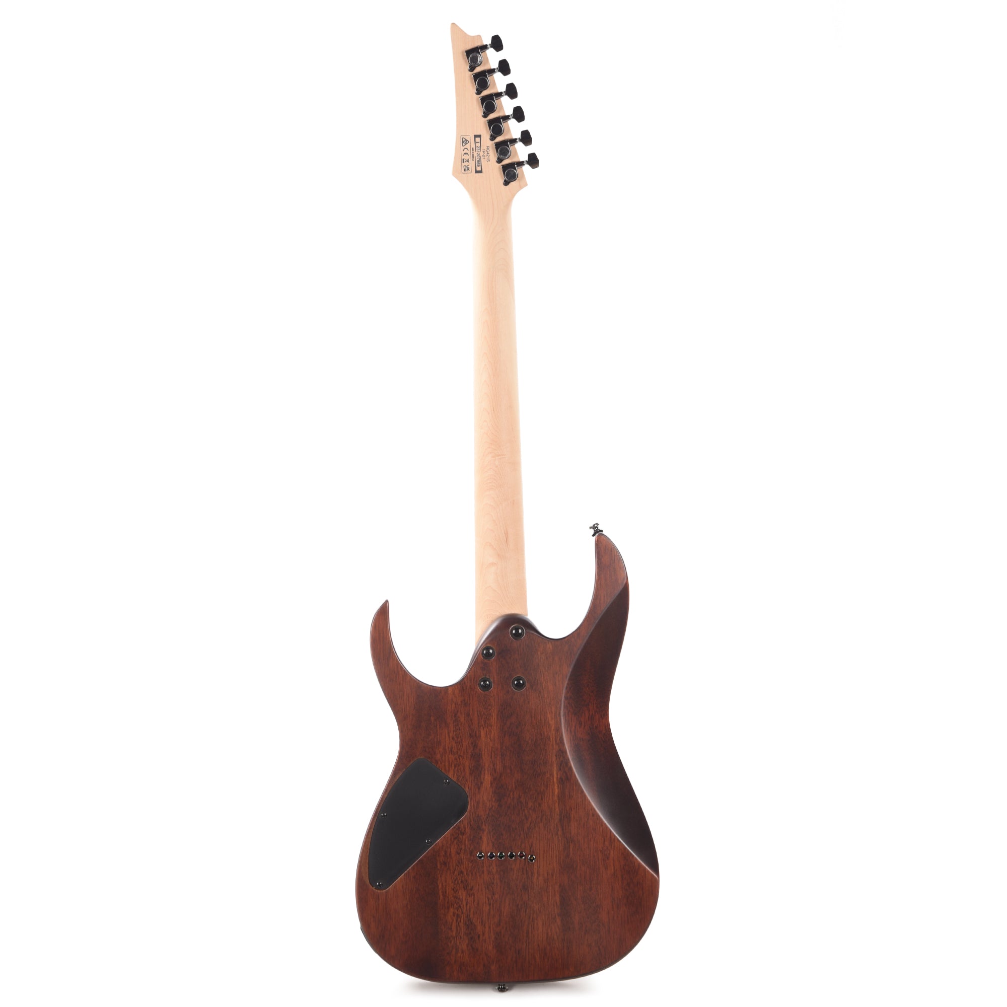 Ibanez RG421SSEM Standard 6-String Electric Guitar Sea Shore Matte Electric Guitars / Solid Body