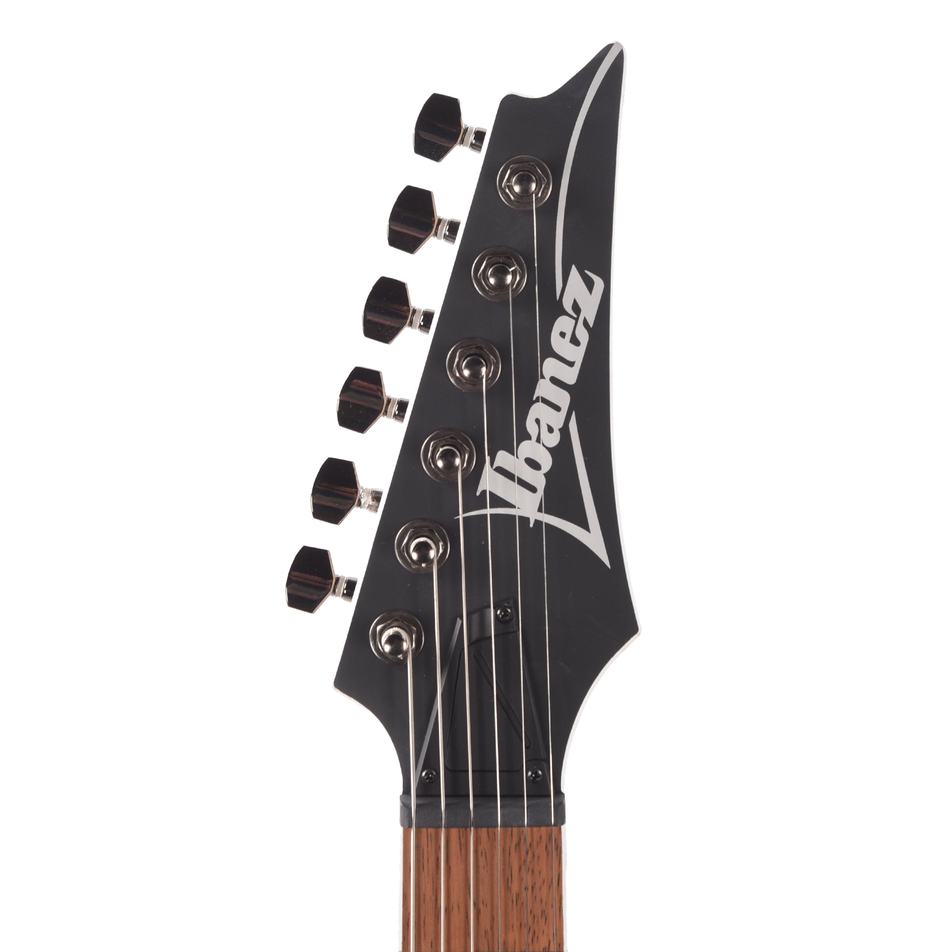Ibanez RG421SSEM Standard 6-String Electric Guitar Sea Shore Matte Electric Guitars / Solid Body