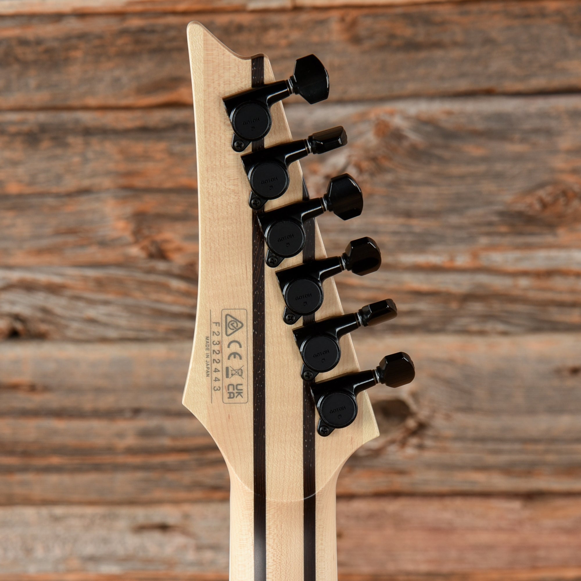 Ibanez RG5121ET Polar Lights 2023 Electric Guitars / Solid Body