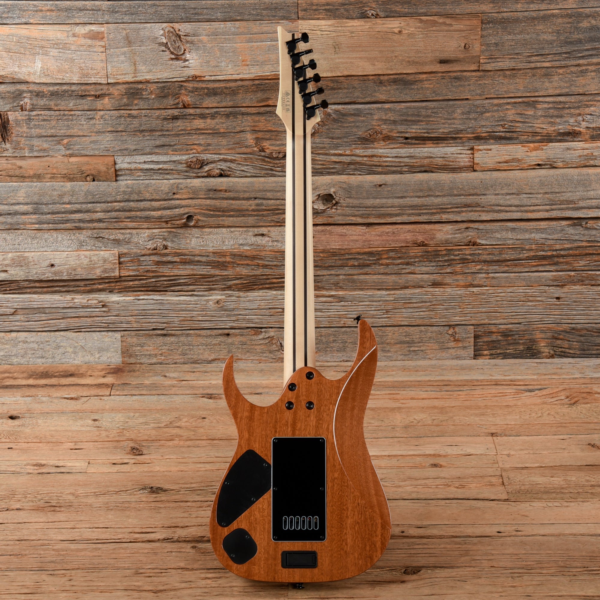 Ibanez RG5121ET Polar Lights 2023 Electric Guitars / Solid Body