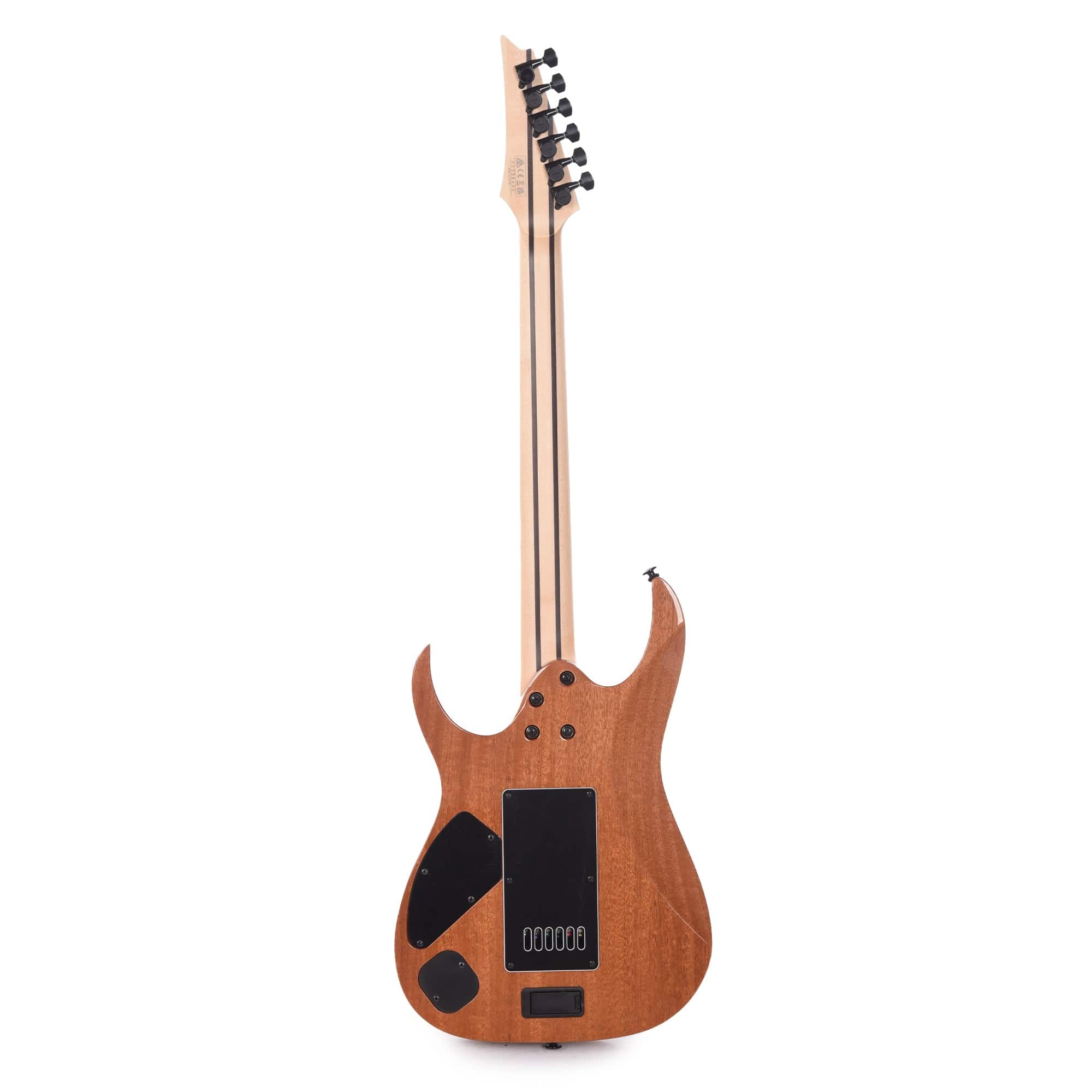 Ibanez RG5121ETPRT Prestige Electric Guitar Polar Lights – Chicago ...