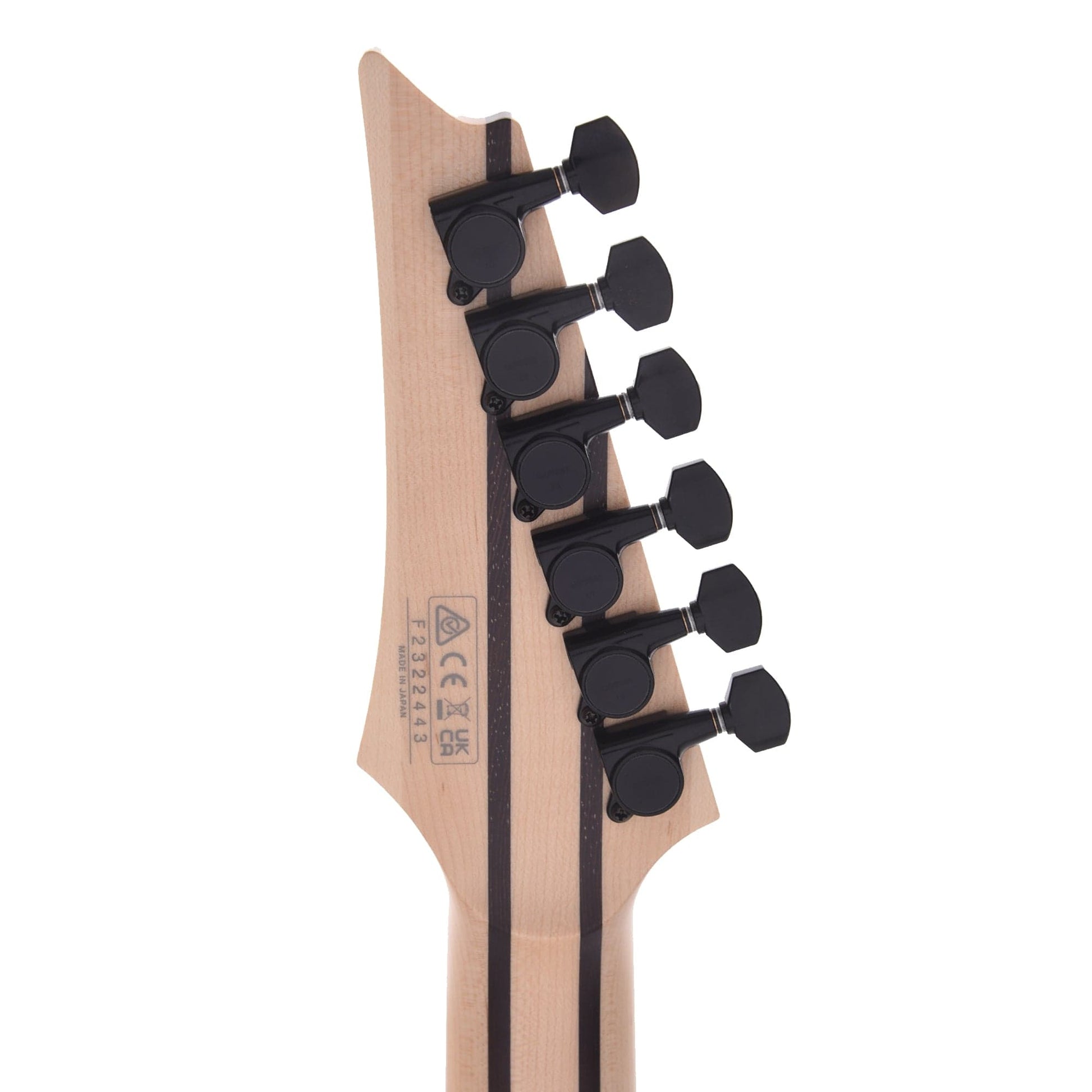 Ibanez RG5121ETPRT Prestige Electric Guitar Polar Lights Electric Guitars / Solid Body