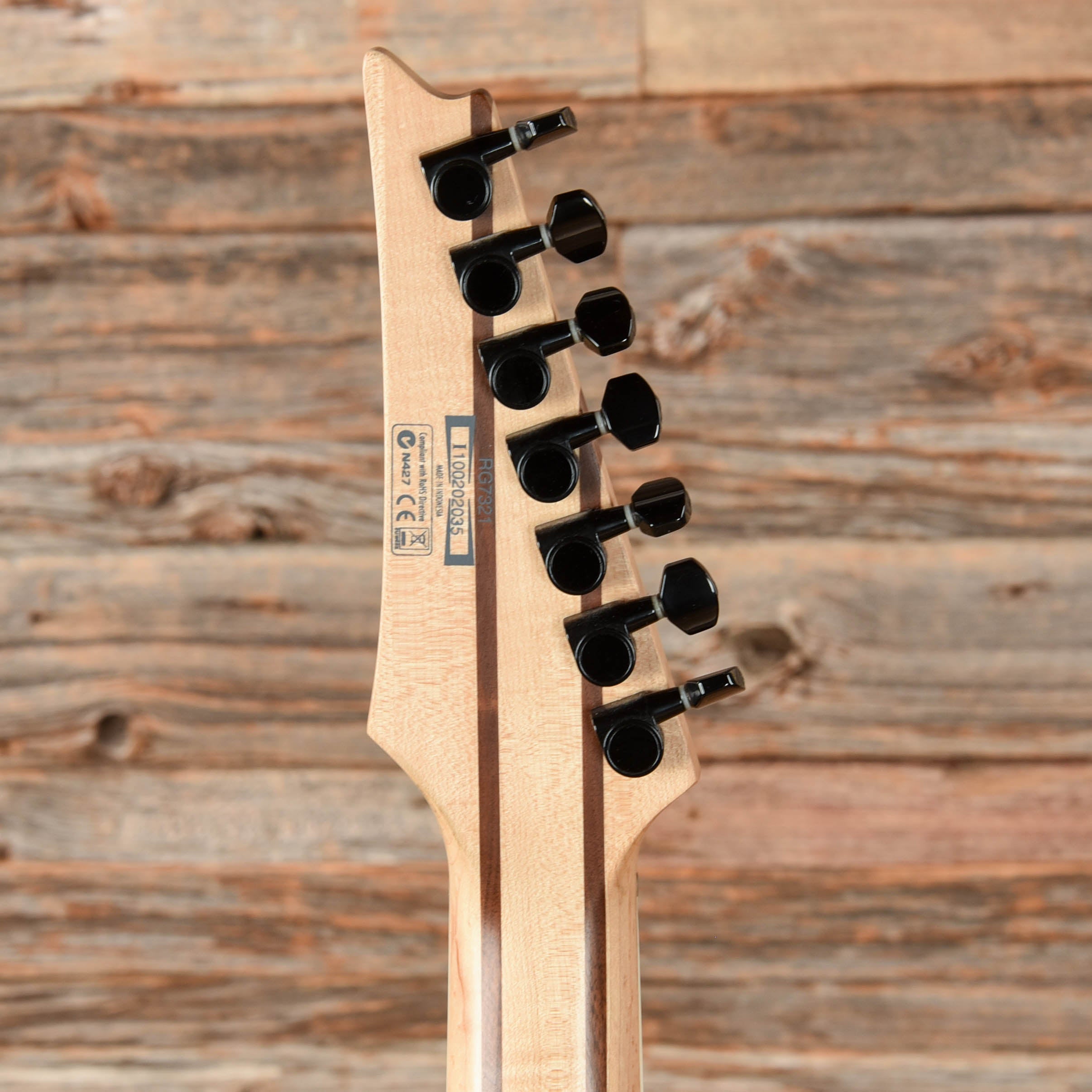 Ibanez RG7321 Black 2010 Electric Guitars / Solid Body