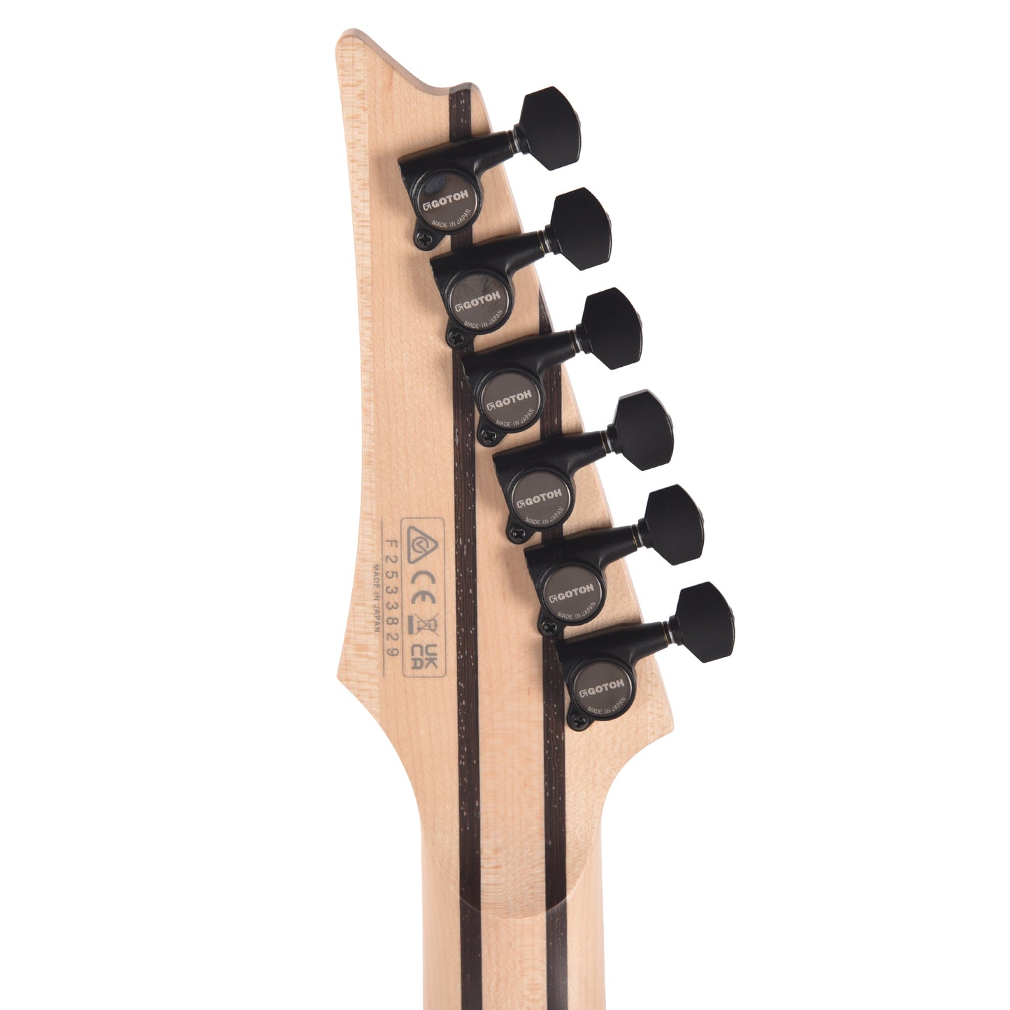 Ibanez RG8620AHAGF RG J. Custom Electric Guitar Anvil Gray Burst Flat Electric Guitars / Solid Body