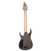 Ibanez RG9PBTGF Axe Design Lab 9-String Electric Guitar Transparent Gray Flat Electric Guitars / Solid Body