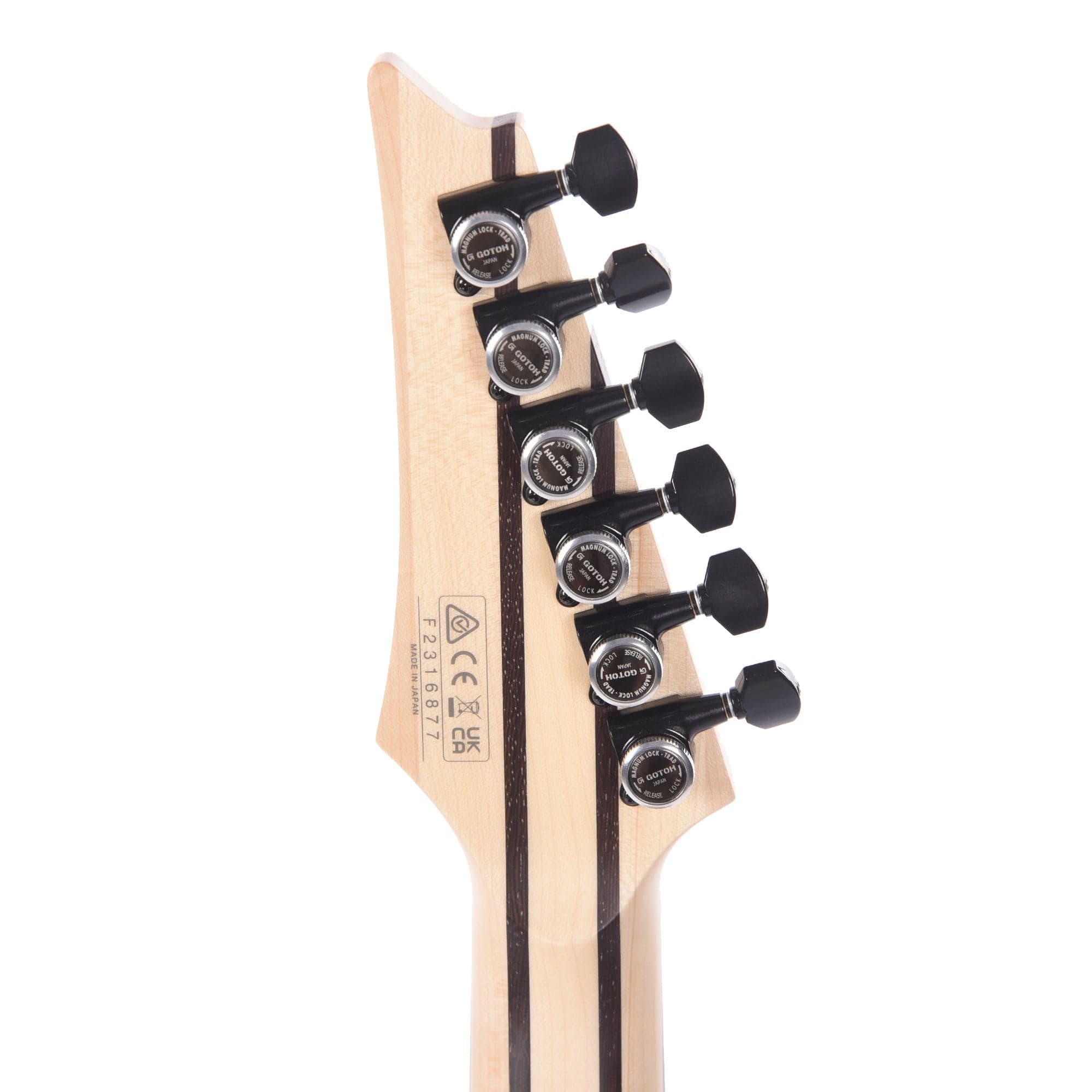 Ibanez RGD3121PRF Prestige Electric Guitar Polar Lights Flat Electric Guitars / Solid Body