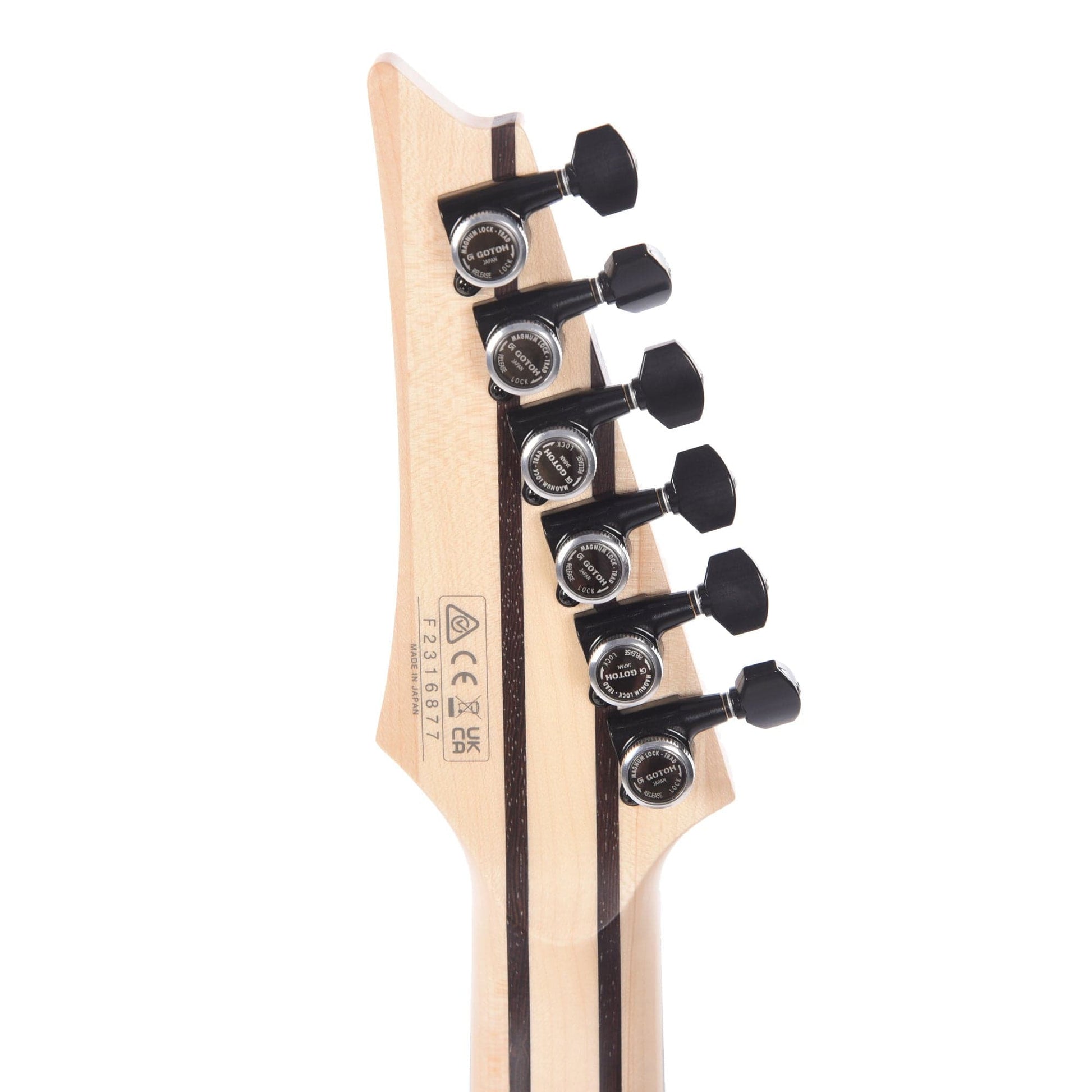 Ibanez RGD3121PRF Prestige Electric Guitar Polar Lights Flat Electric Guitars / Solid Body