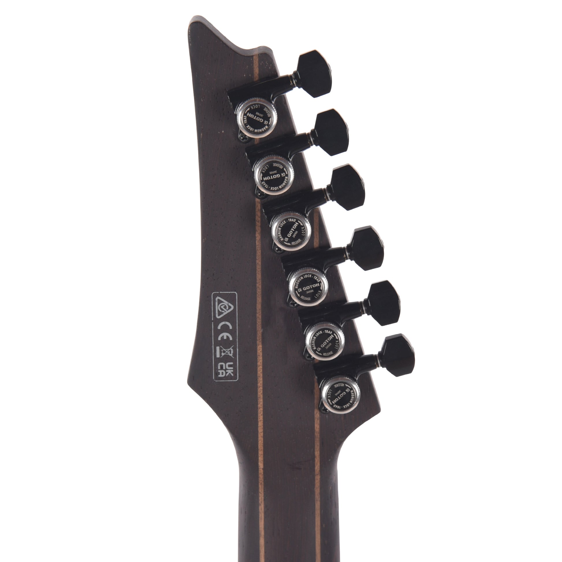 Ibanez RGD621AHMNF RGD Electric Guitar Midnight Shade Flat Electric Guitars / Solid Body